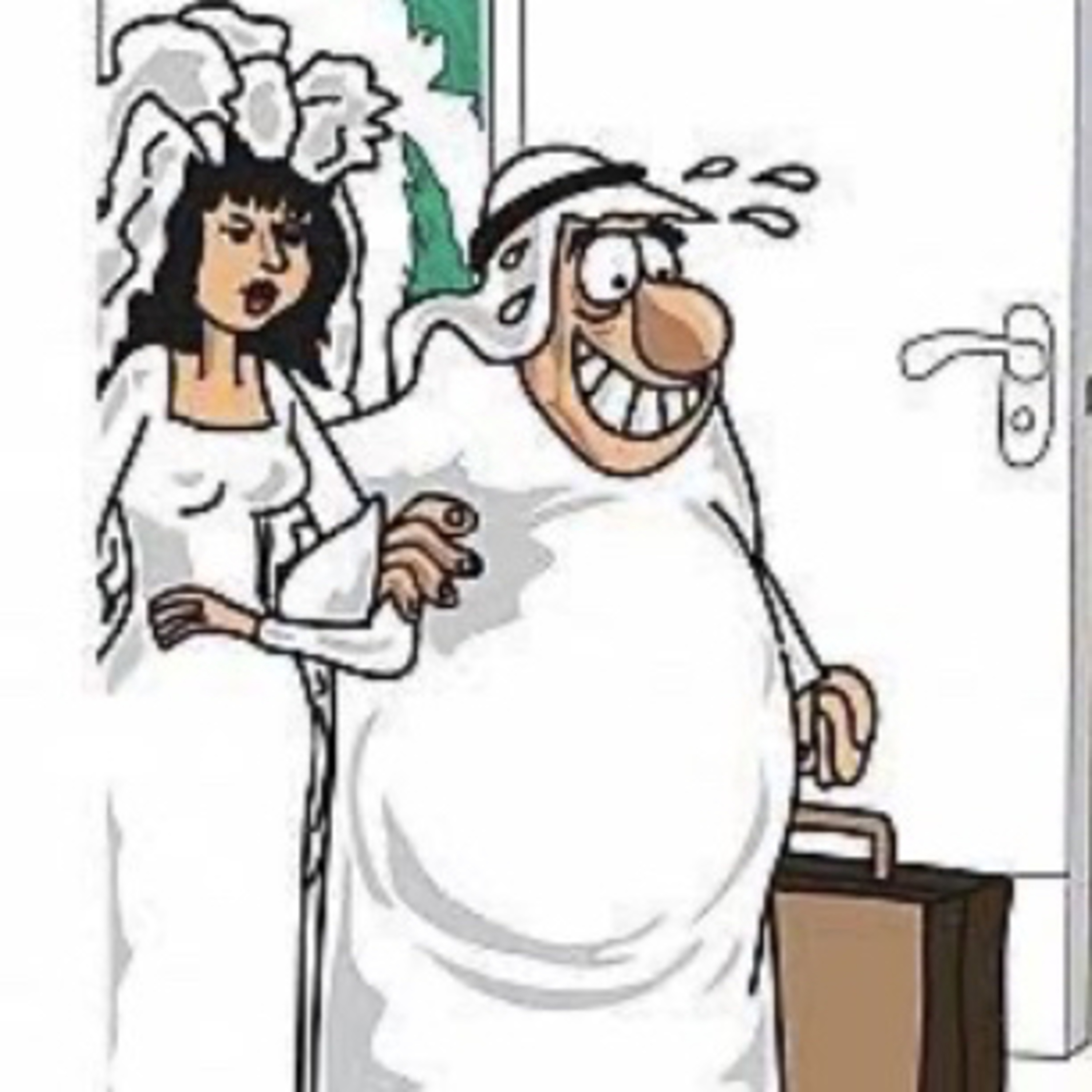 زوجة تانية 😏 الجزء الأول episode artwork