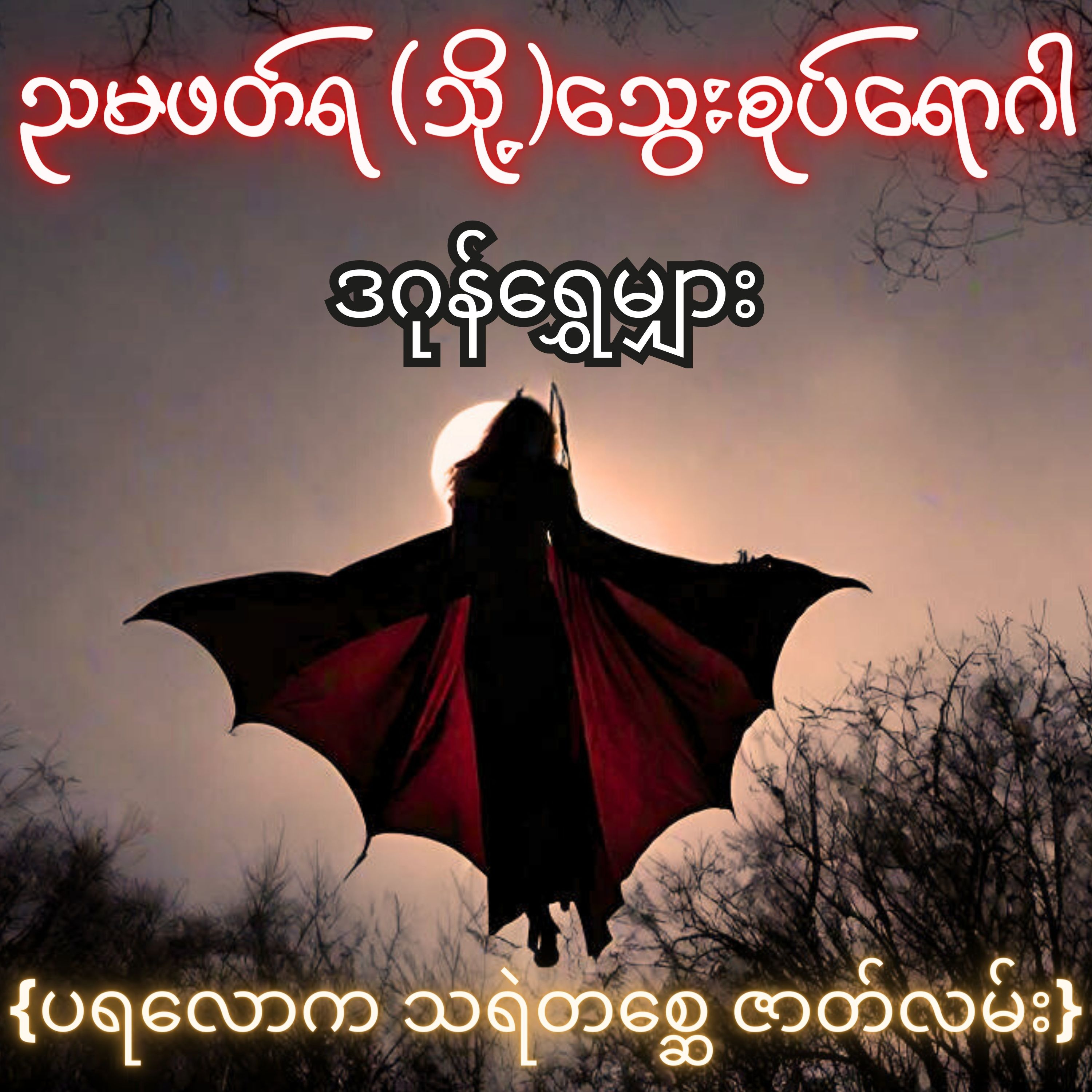 ညမဖတ်ရ (သို့) သွေးစုပ်ရောဂါ - ဒဂုန်ရွှေမျှား | ပရလောက သရဲတစ္ဆေ ဇာတ်လမ်း | Myanmar Audiobook episode artwork