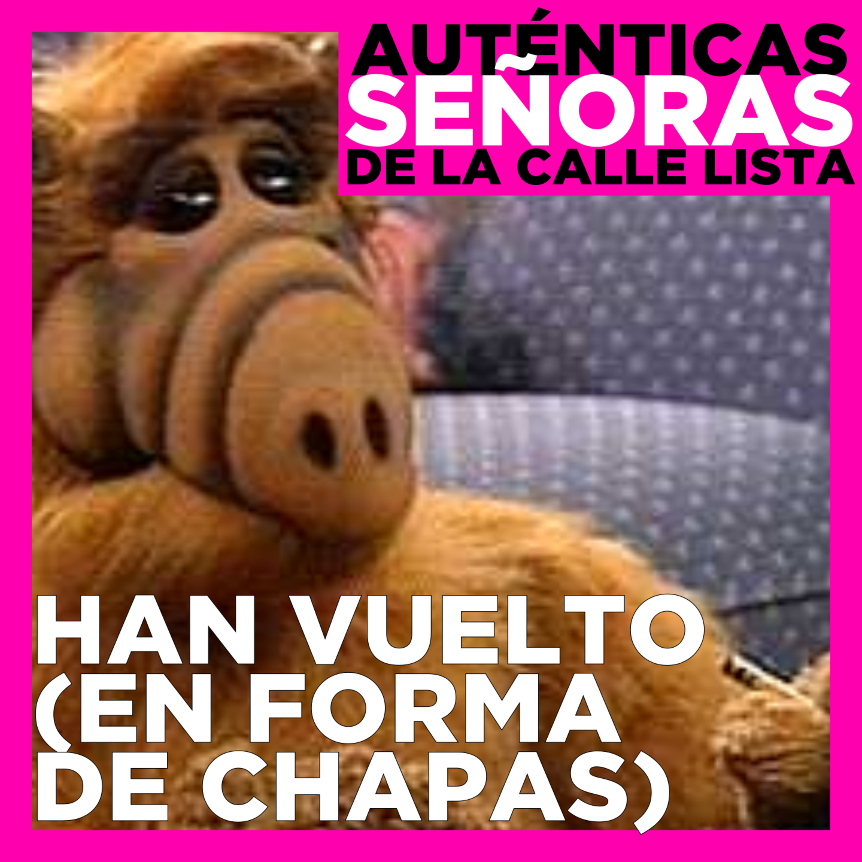 ¡Han vuelto! (En forma de chapas)