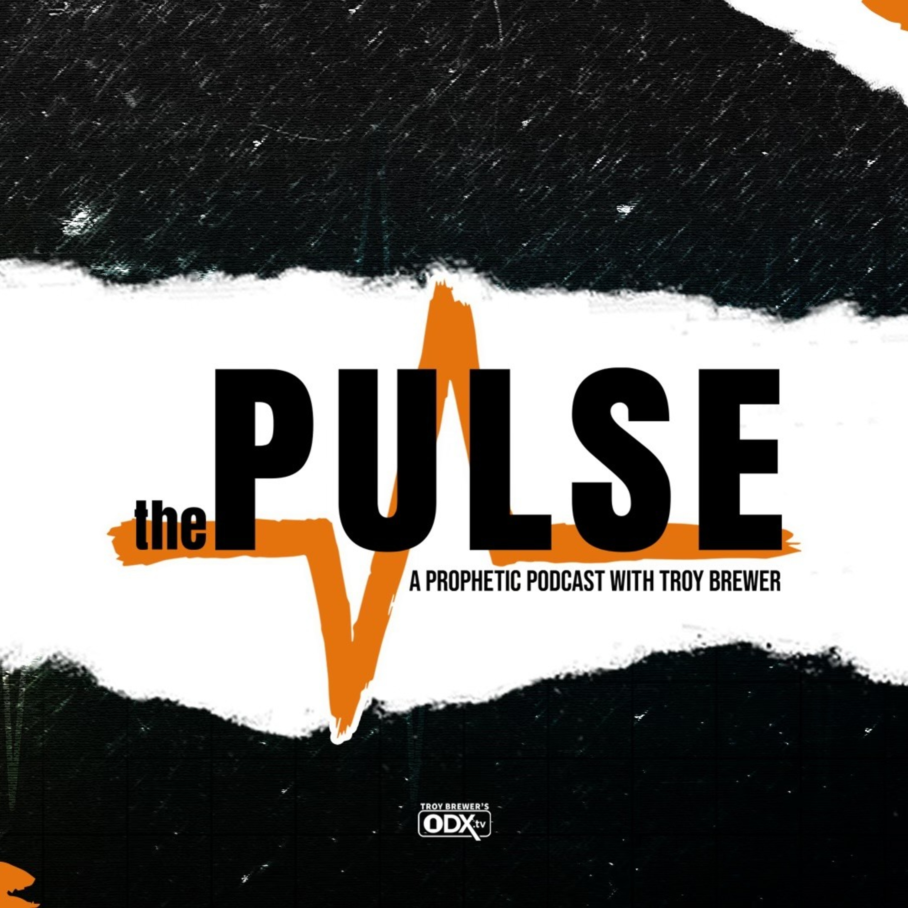The Pulse Takeover with Alan DiDio | The Pulse - Ep 169