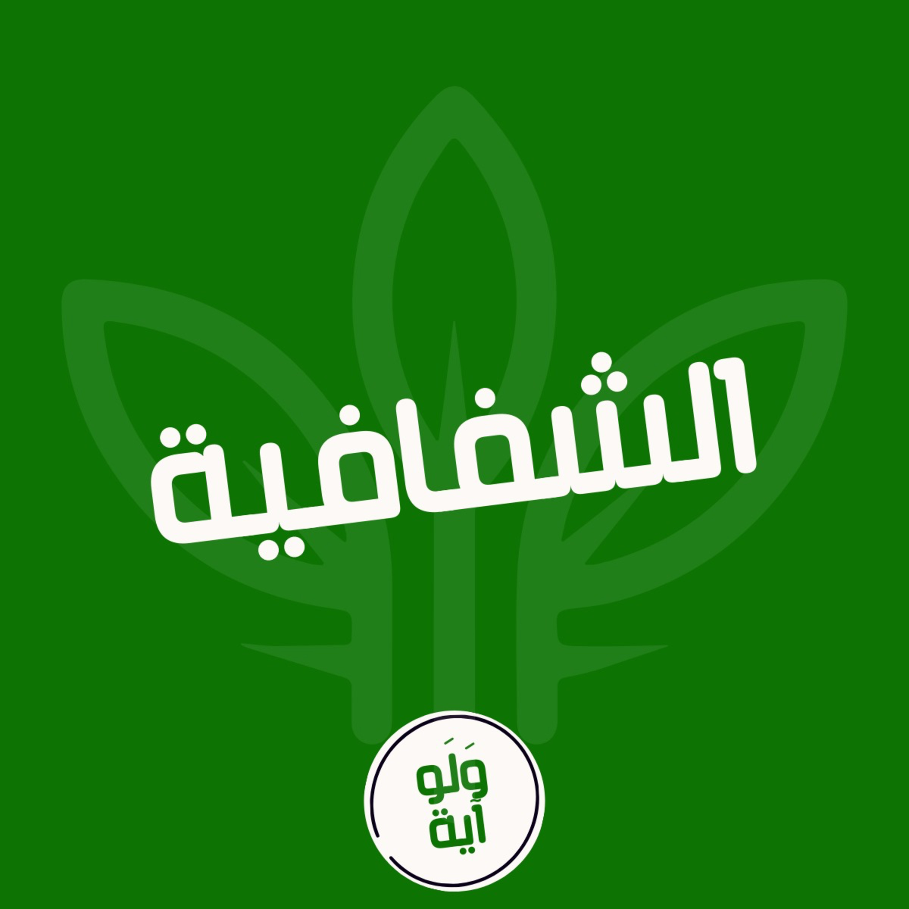 ١٢ - الشفافية episode artwork