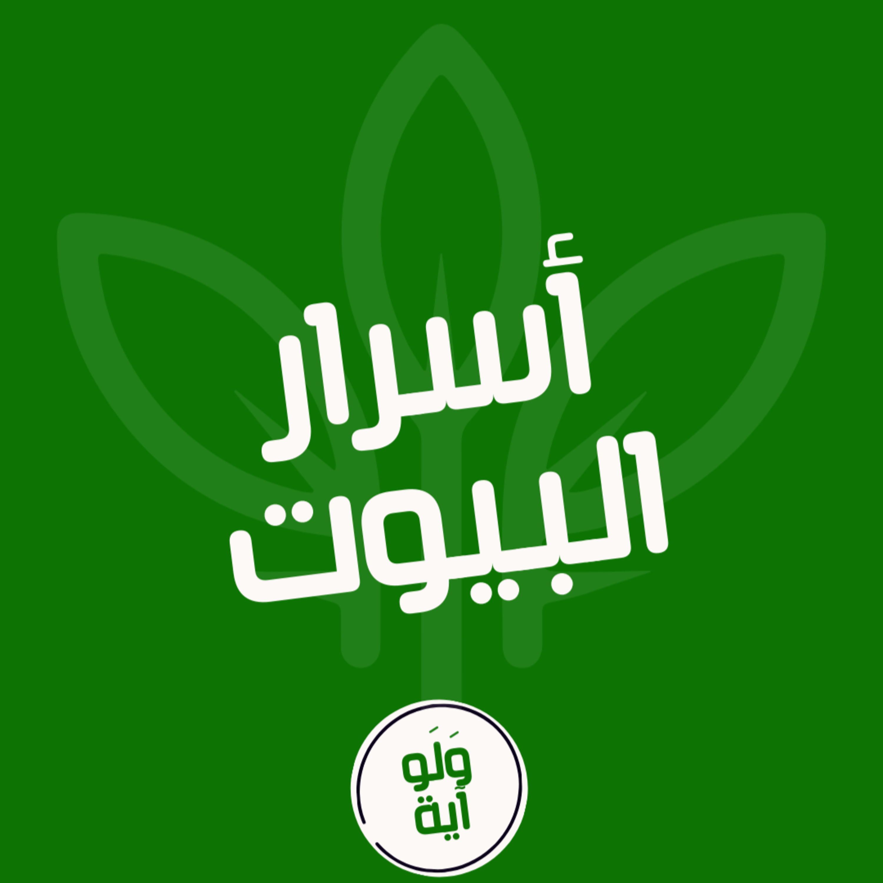 ٢٥ - أسرار البيوت episode artwork