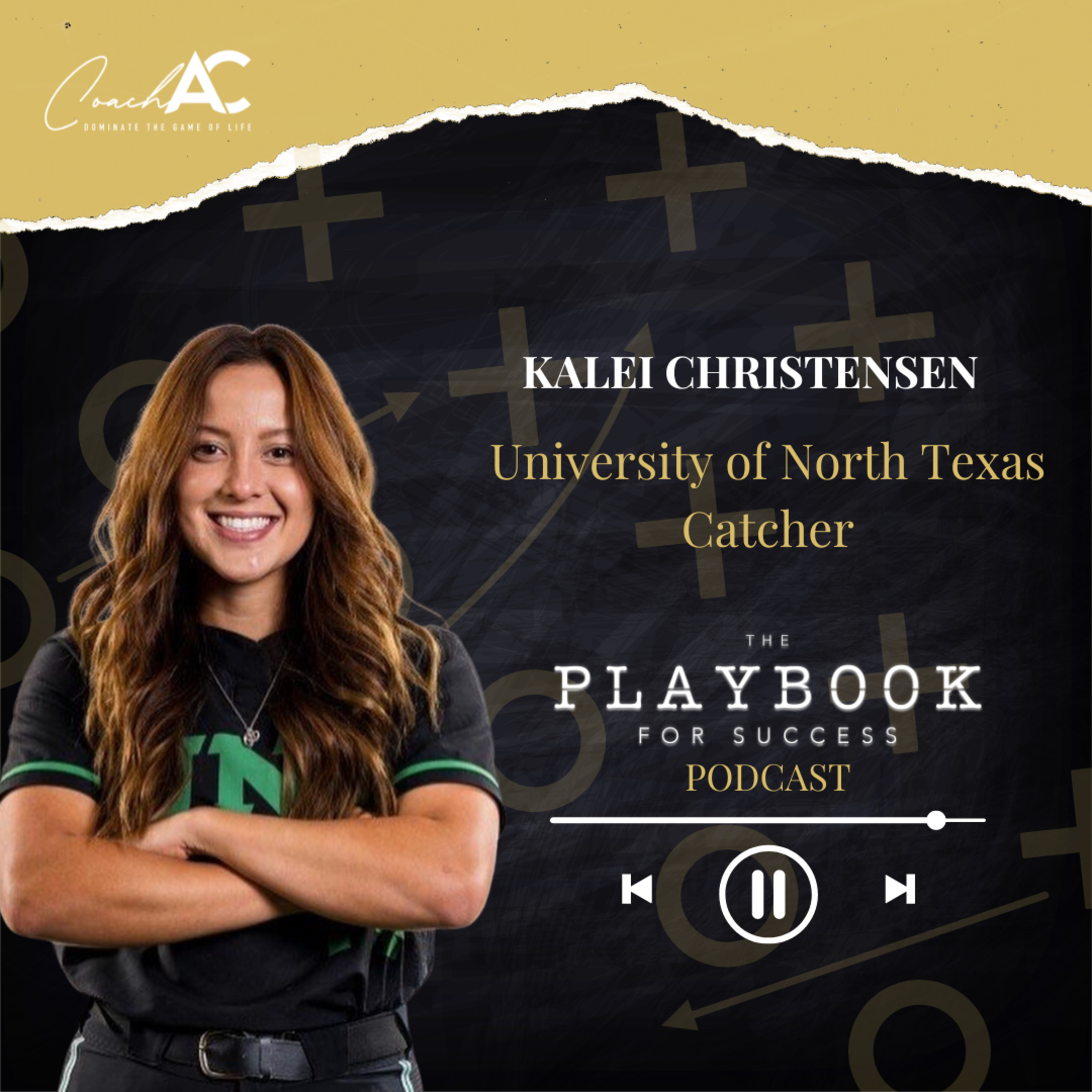 The Playbook For Success