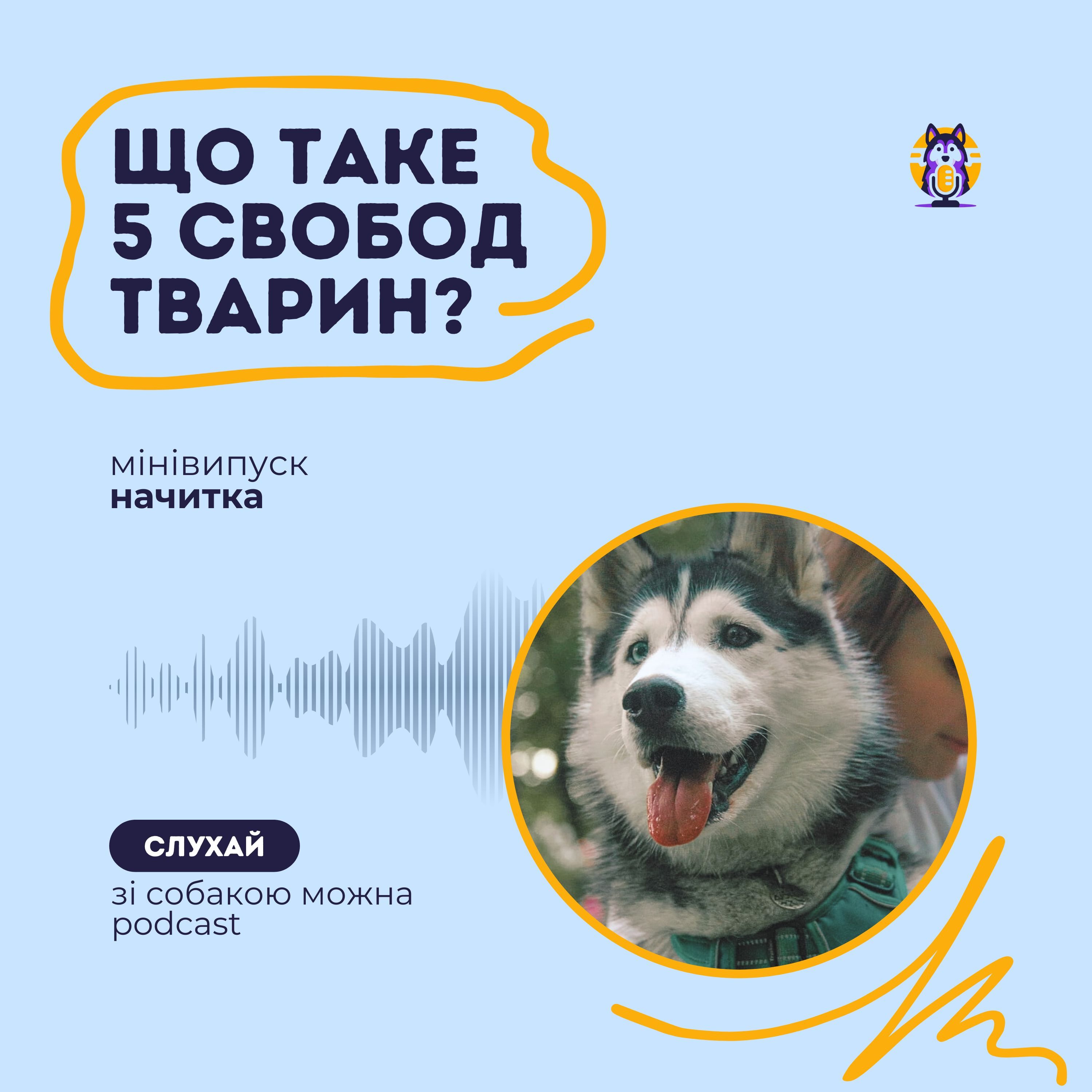 Концепція 5 свобод: Що це? episode artwork