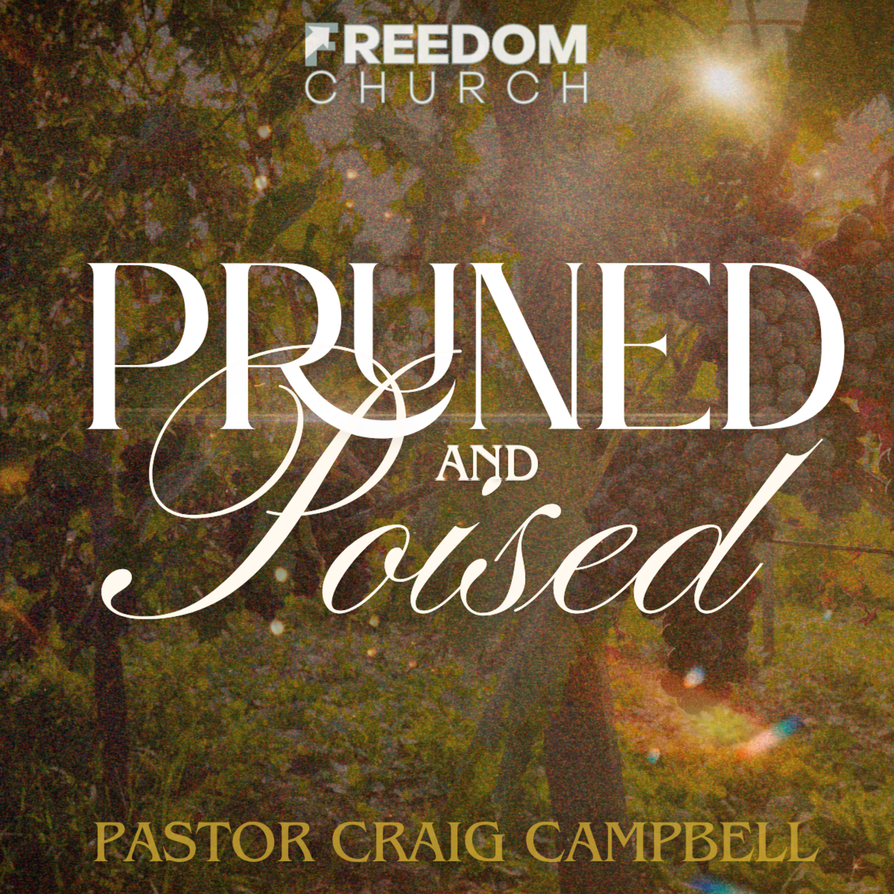 Pruned & Poised | Pastor Craig Campbell episode artwork