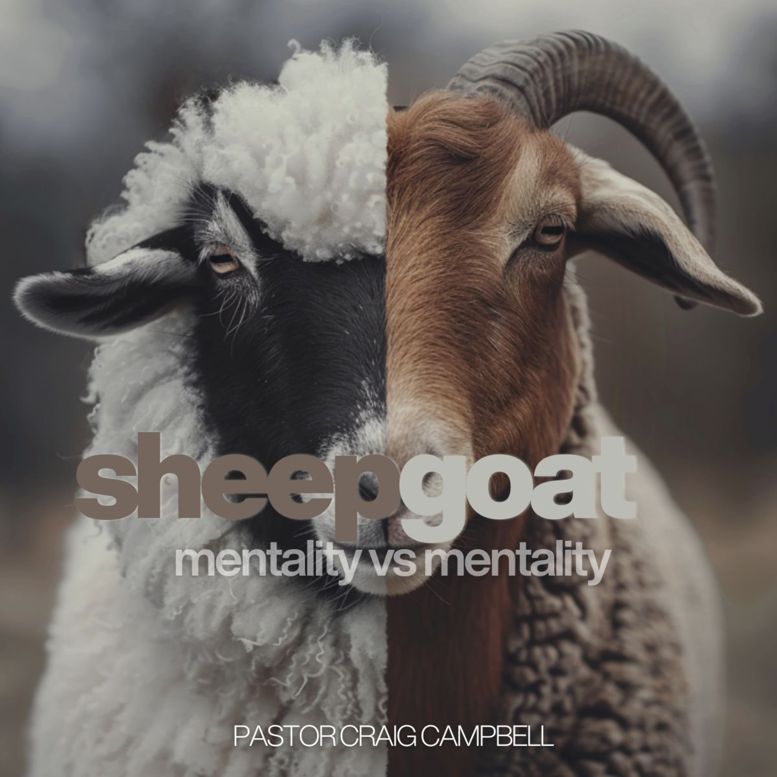 Sheep Mentality -vs- Goat Mentality episode artwork