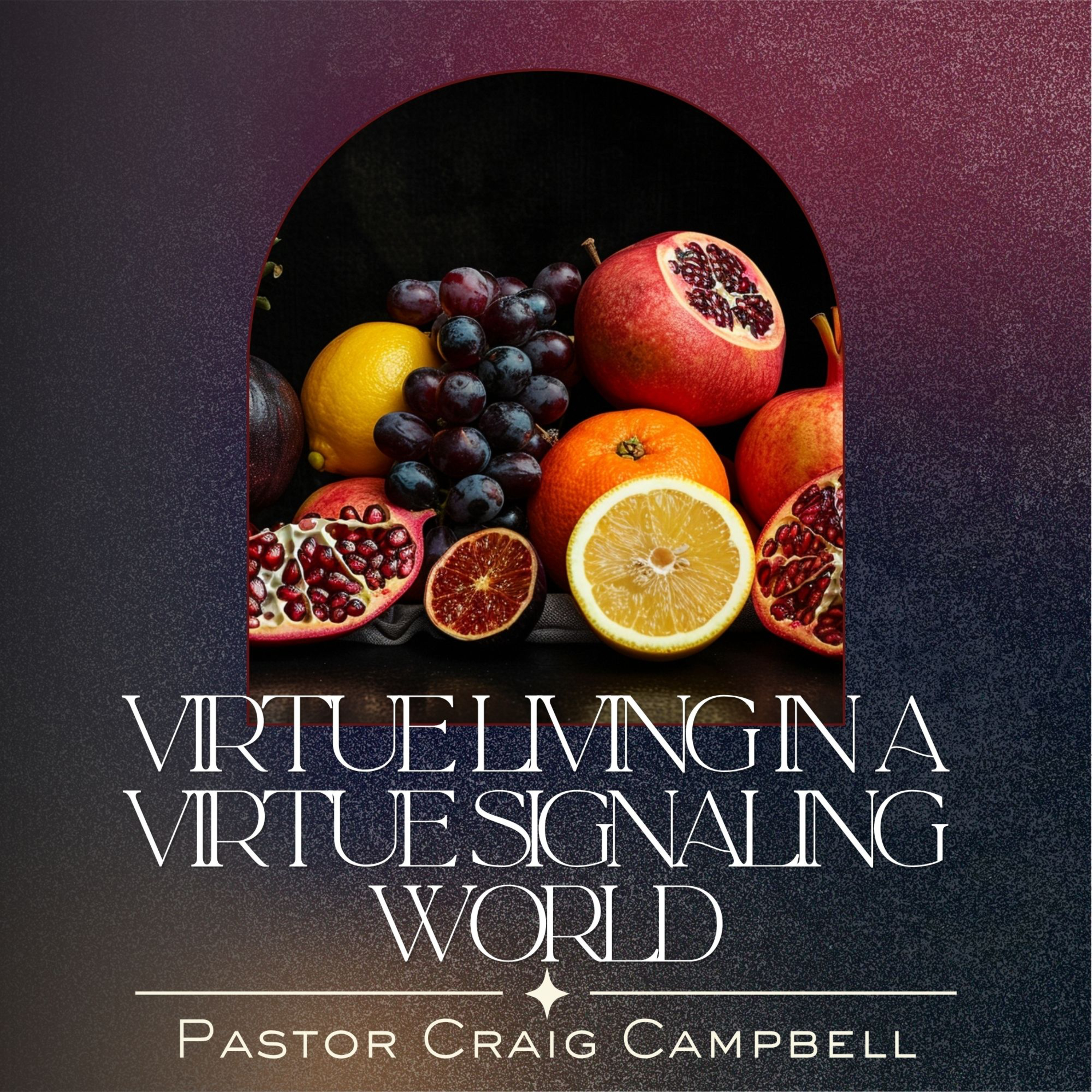 Virtue Living in a Virtue Signaling World | Pastor Craig Campbell episode artwork