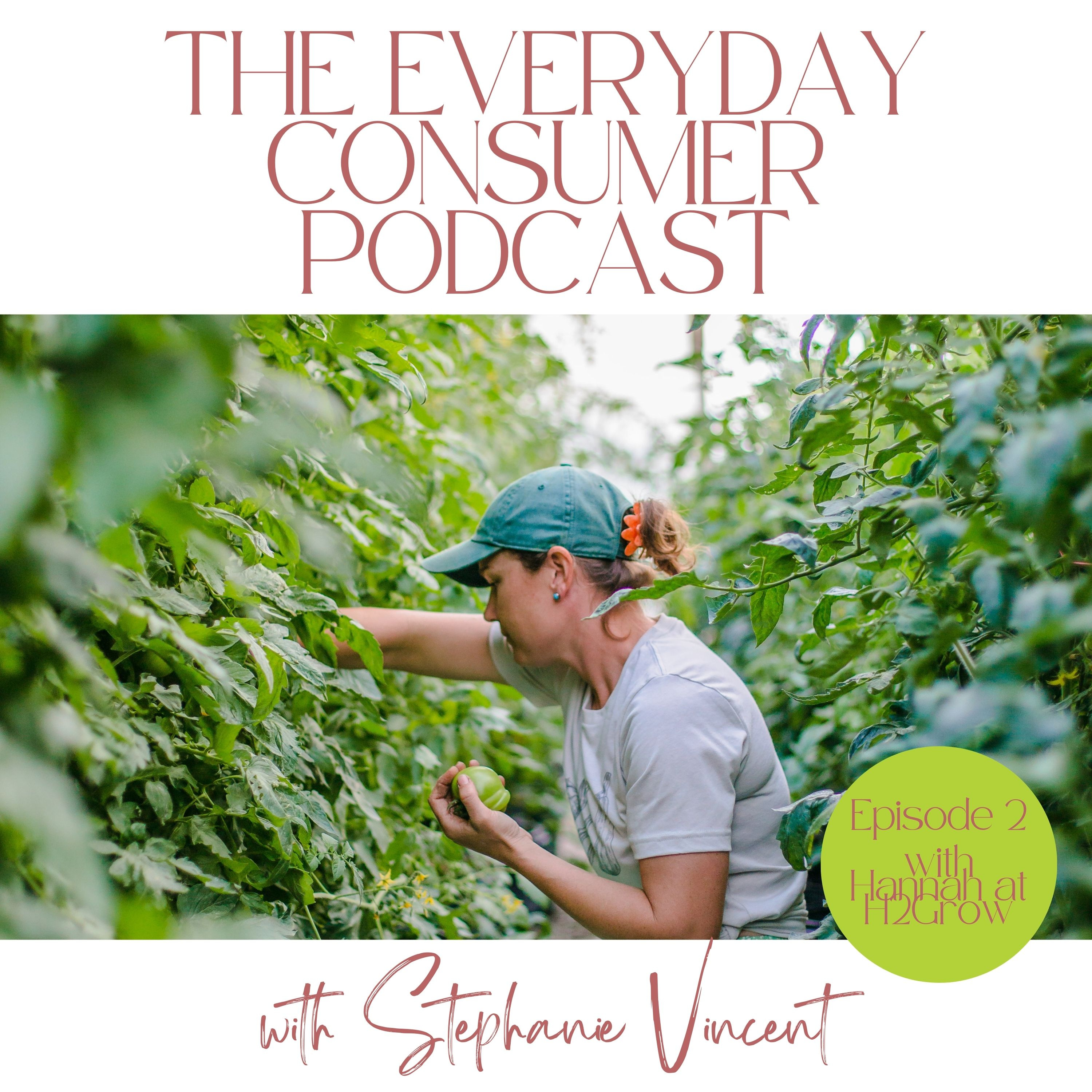 The Everyday Consumer