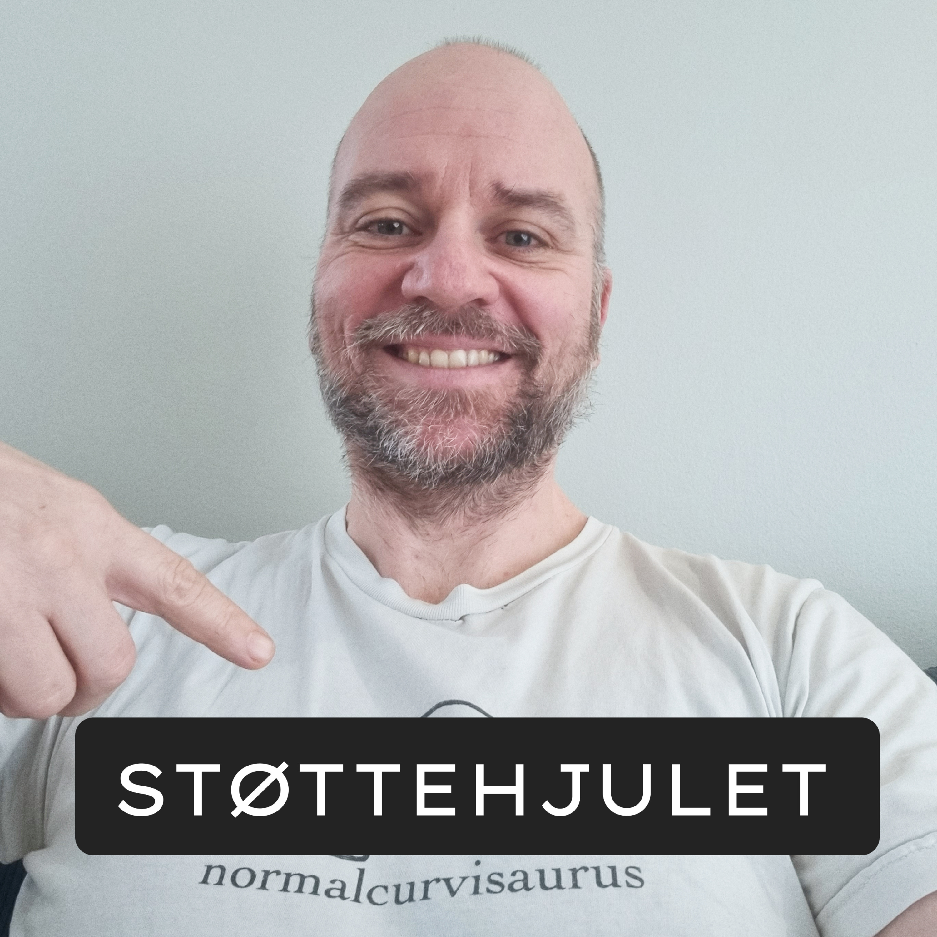 Støttehjulet