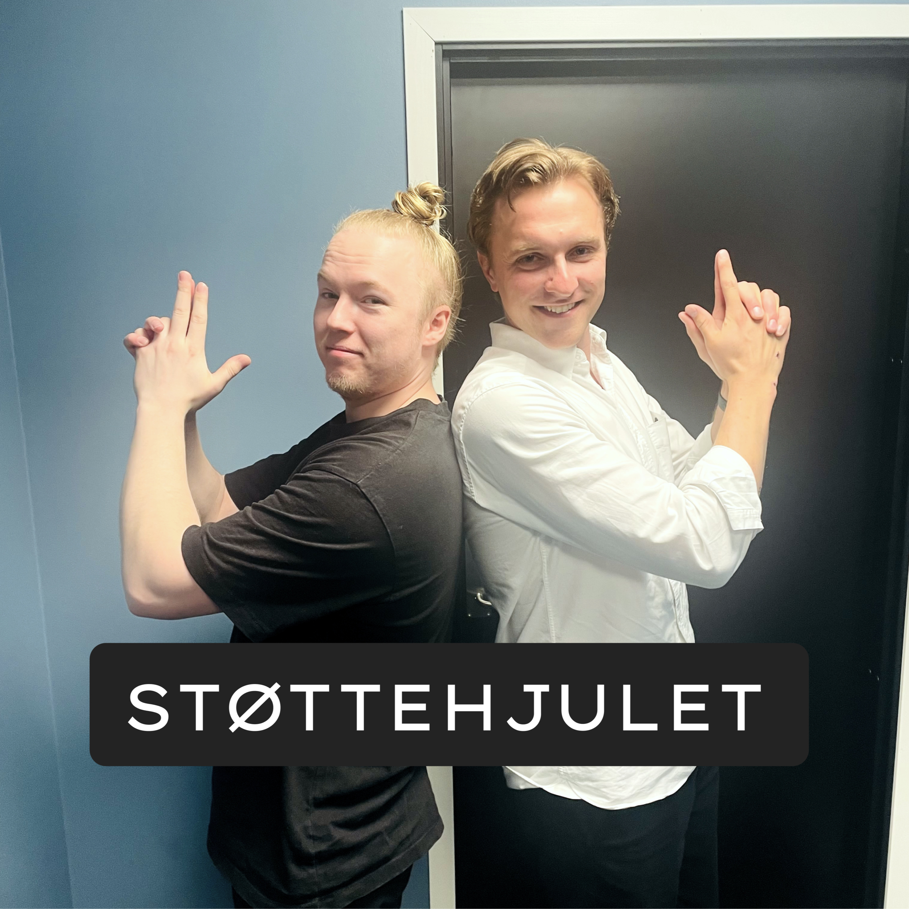 Støttehjulet