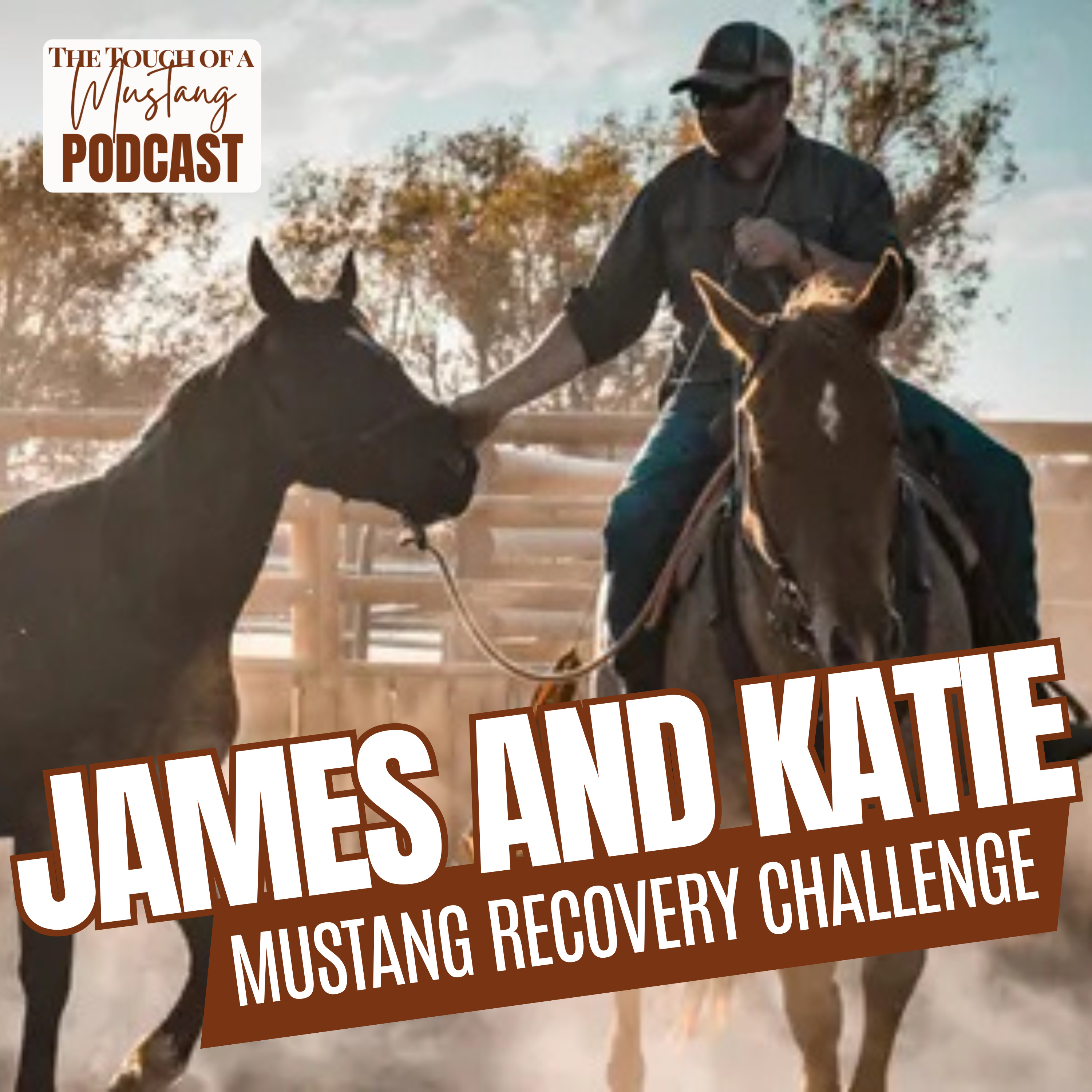 The Touch of a Mustang