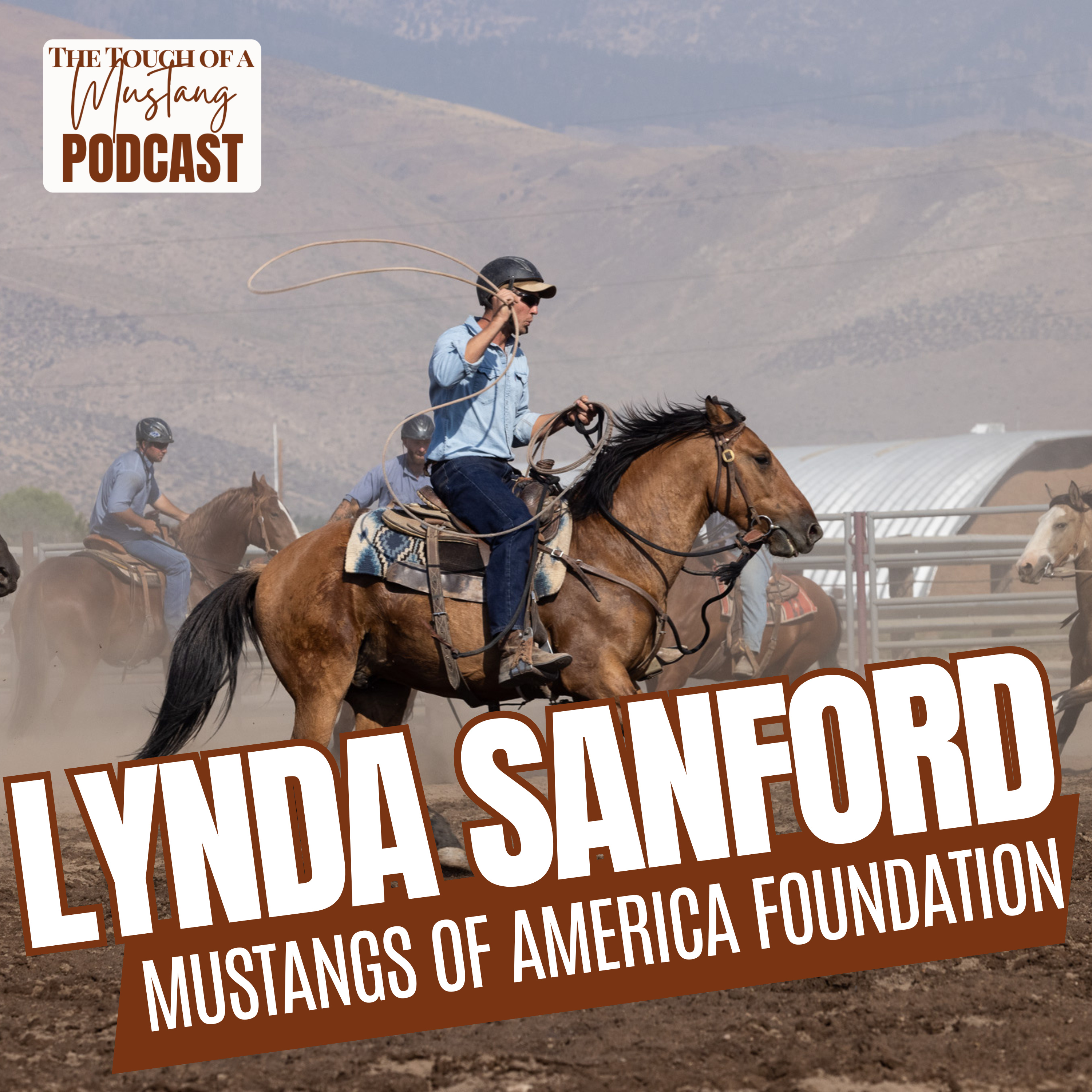 The Touch of a Mustang