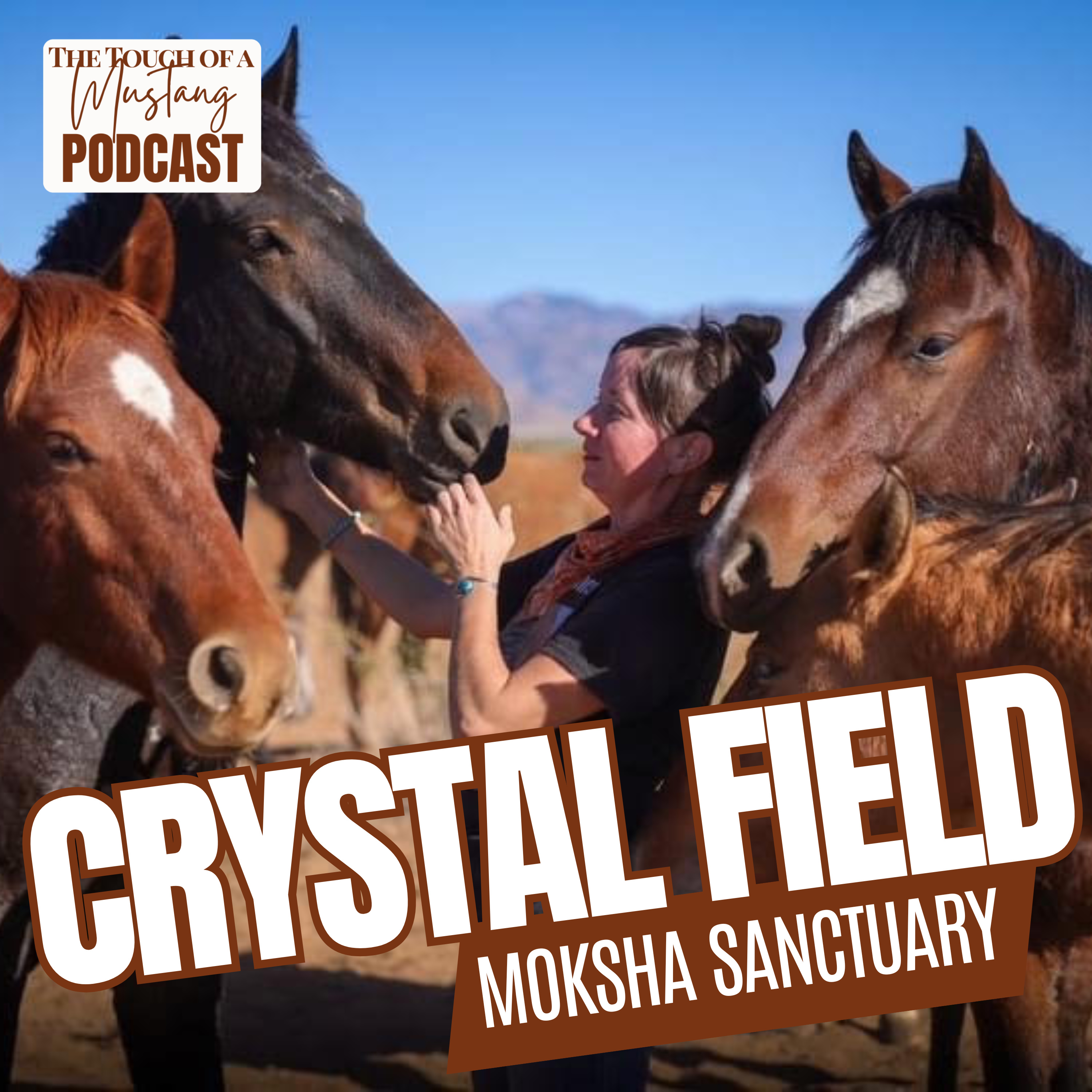 The Touch of a Mustang