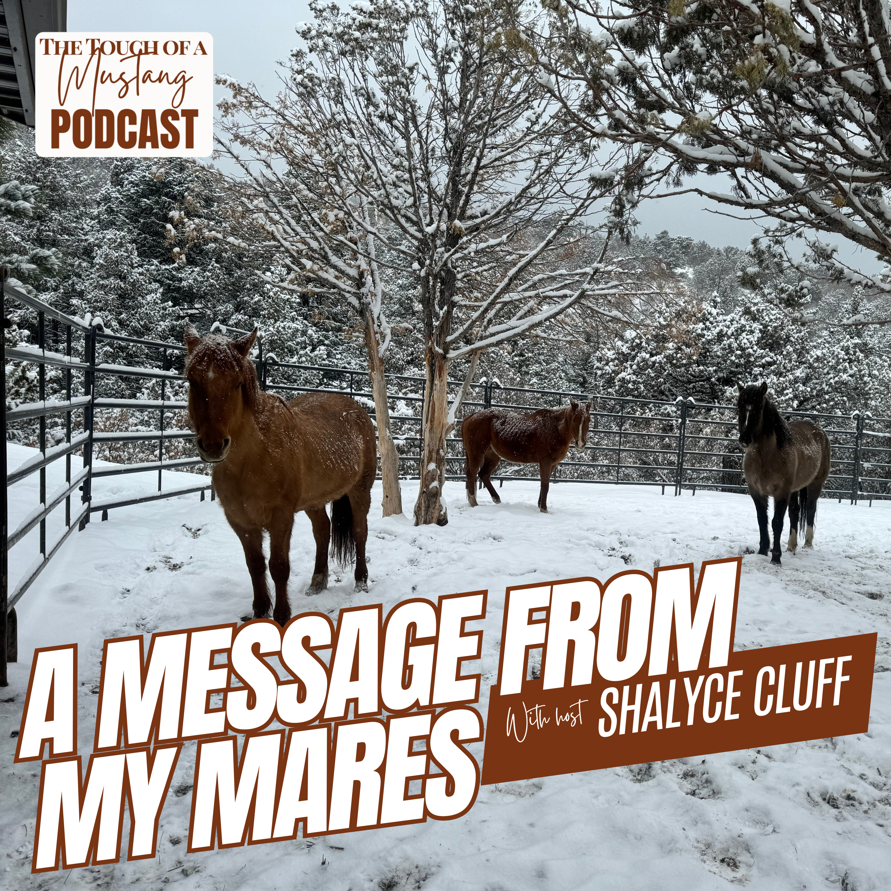 The Touch of a Mustang