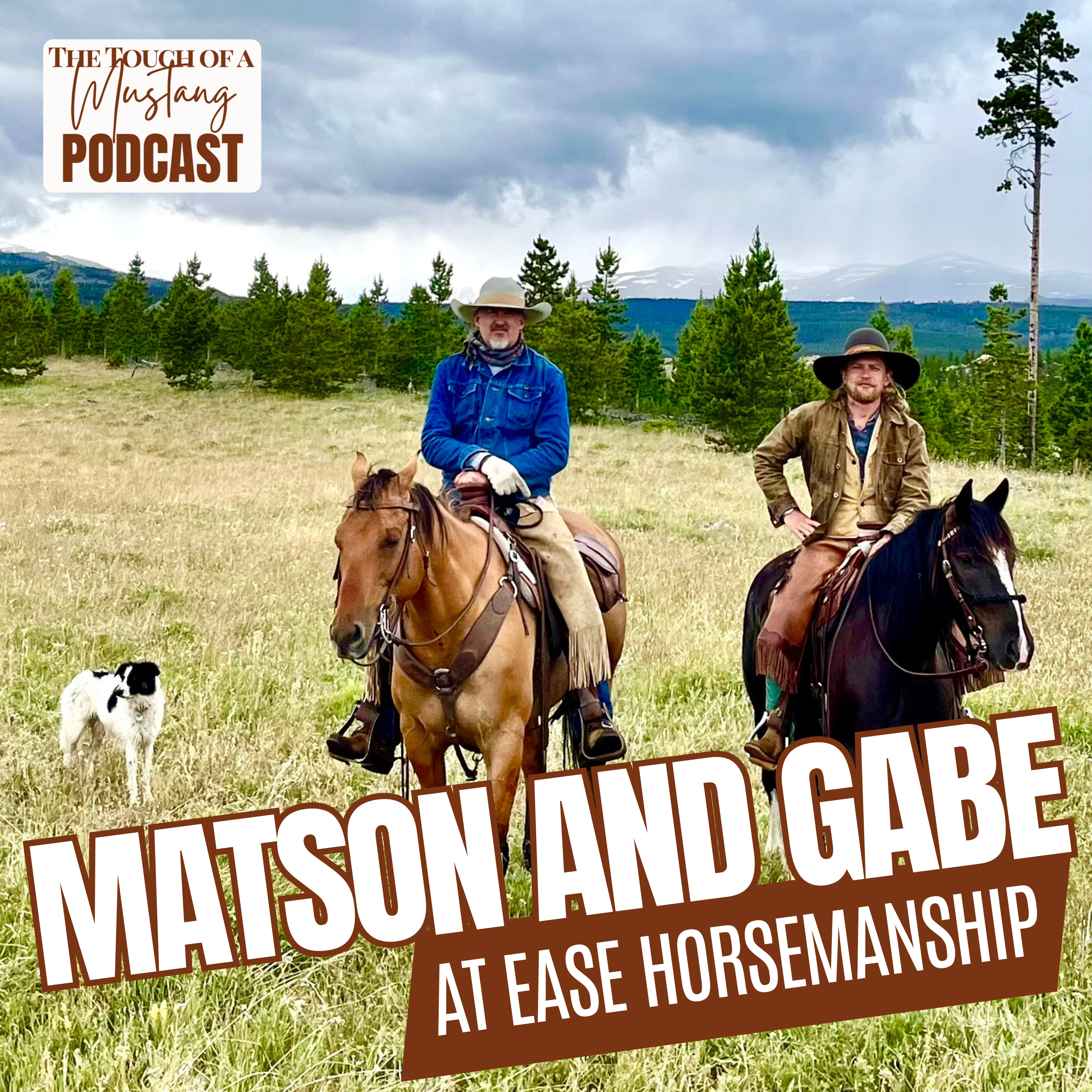 The Touch of a Mustang