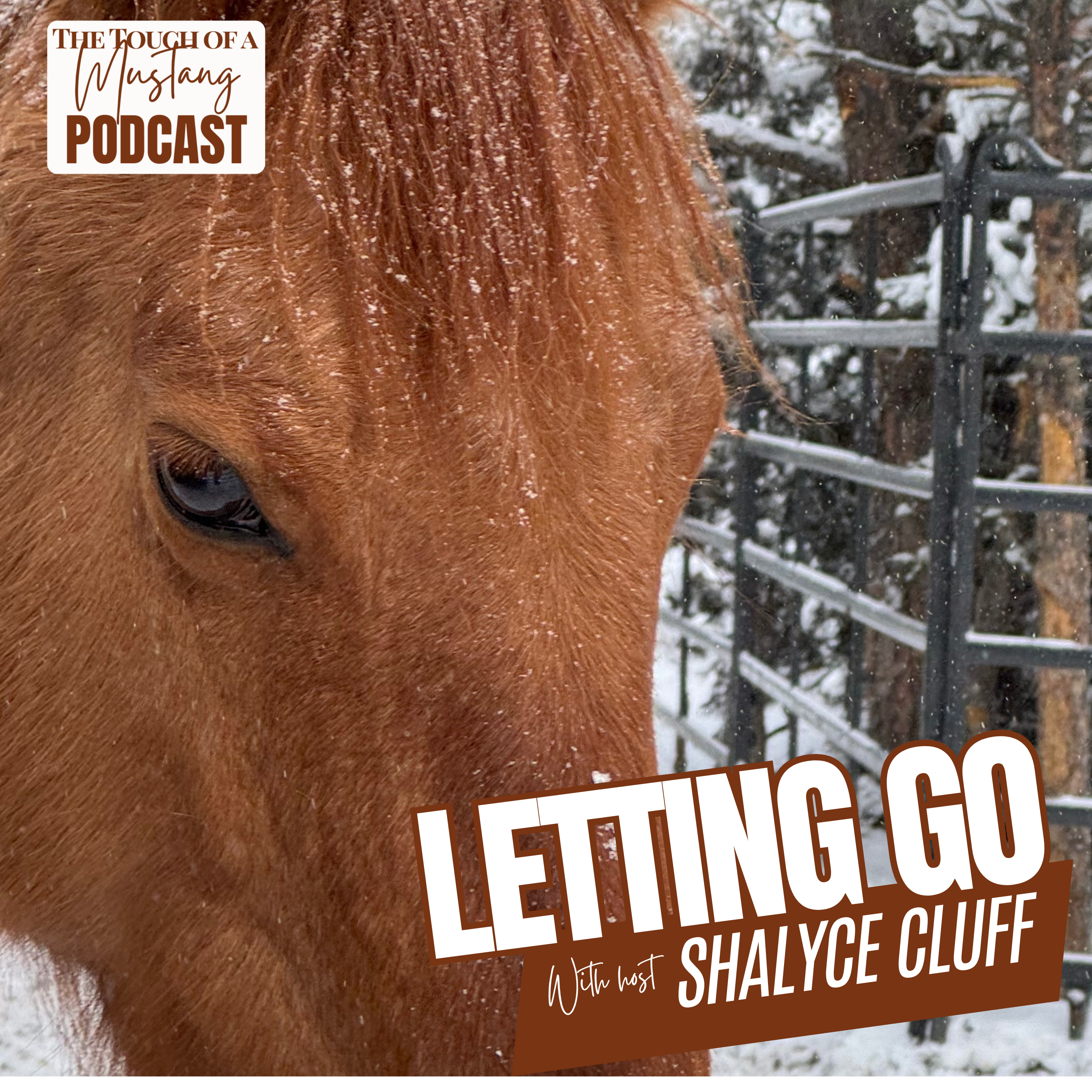 The Touch of a Mustang