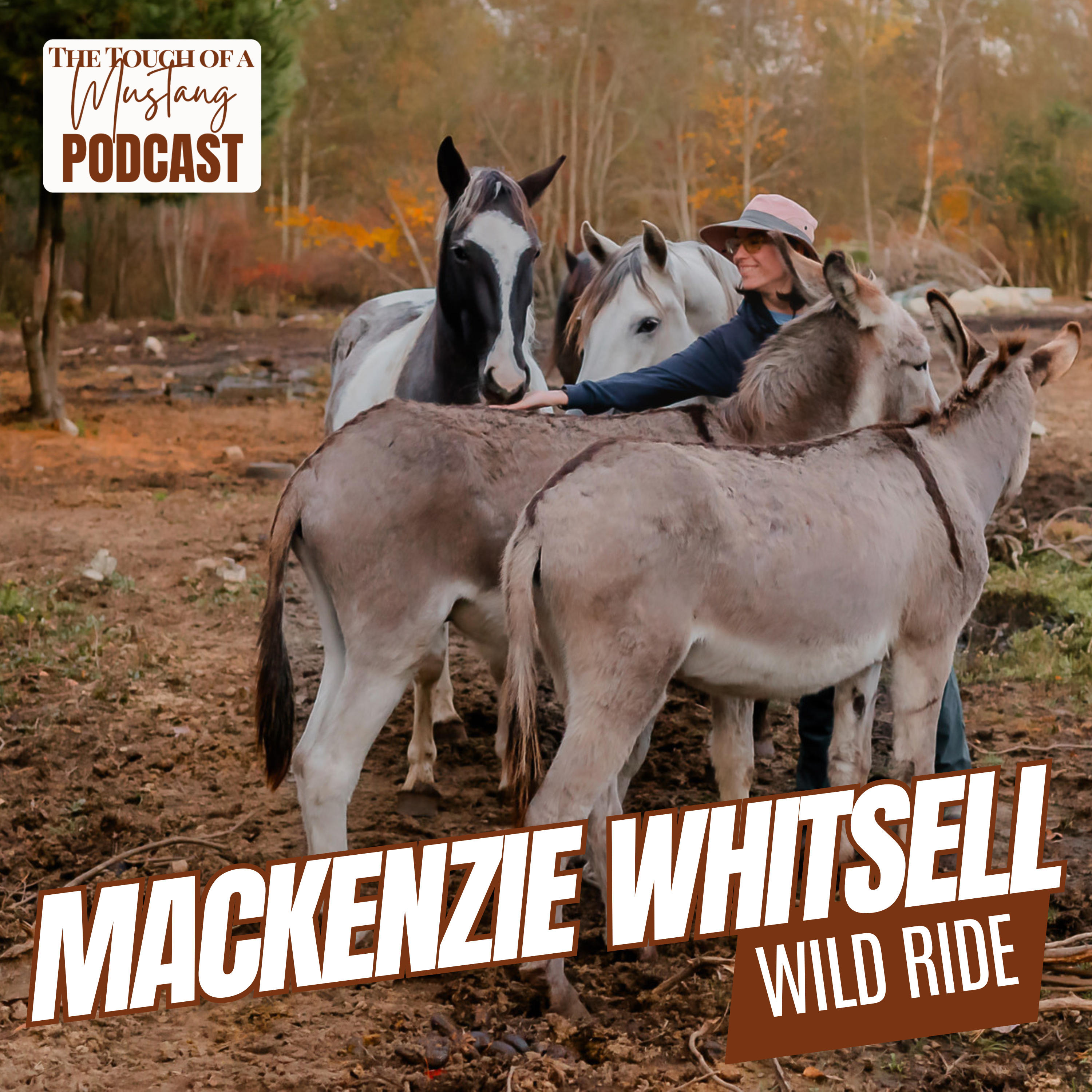 The Touch of a Mustang