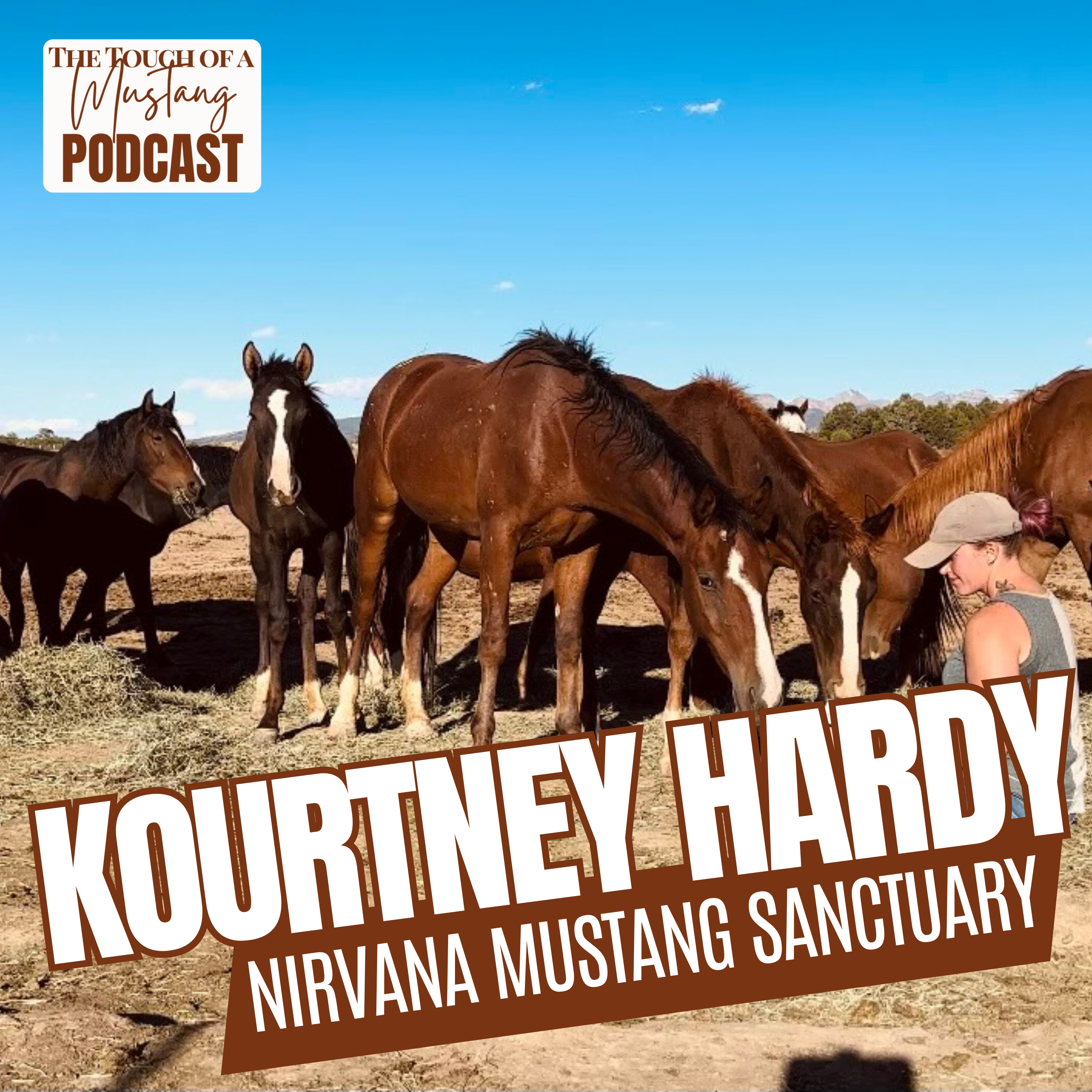 The Touch of a Mustang