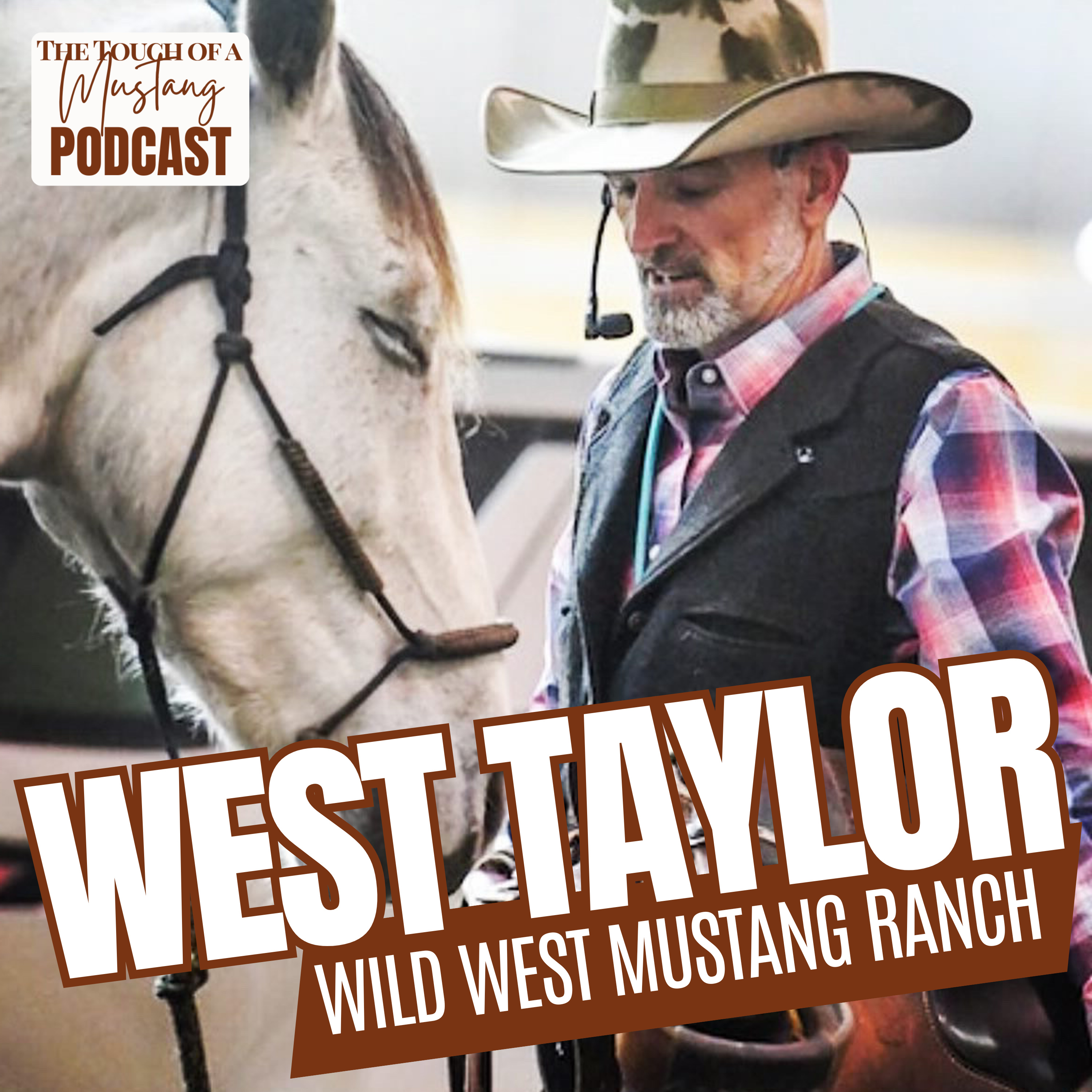 The Touch of a Mustang