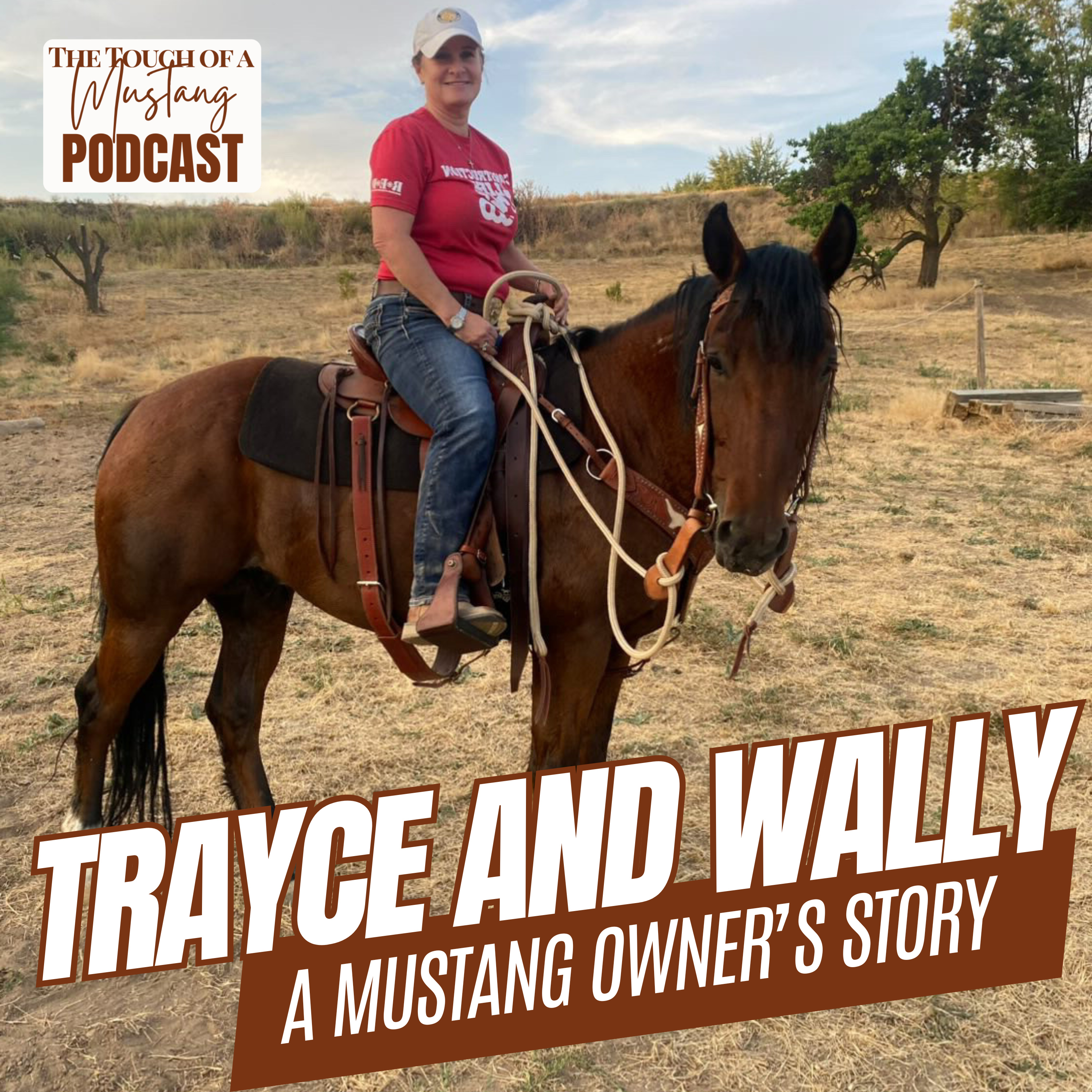 The Touch of a Mustang