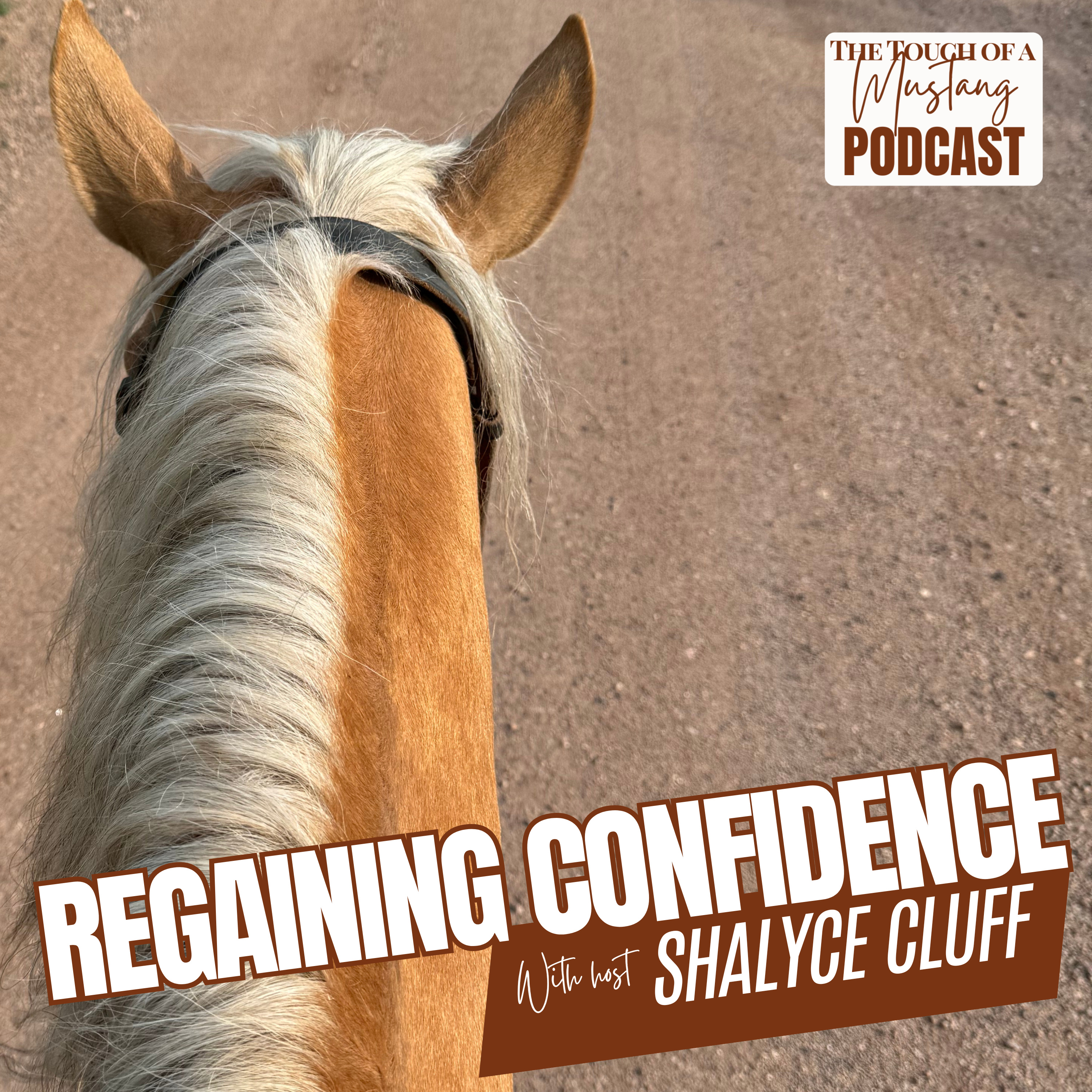 The Touch of a Mustang