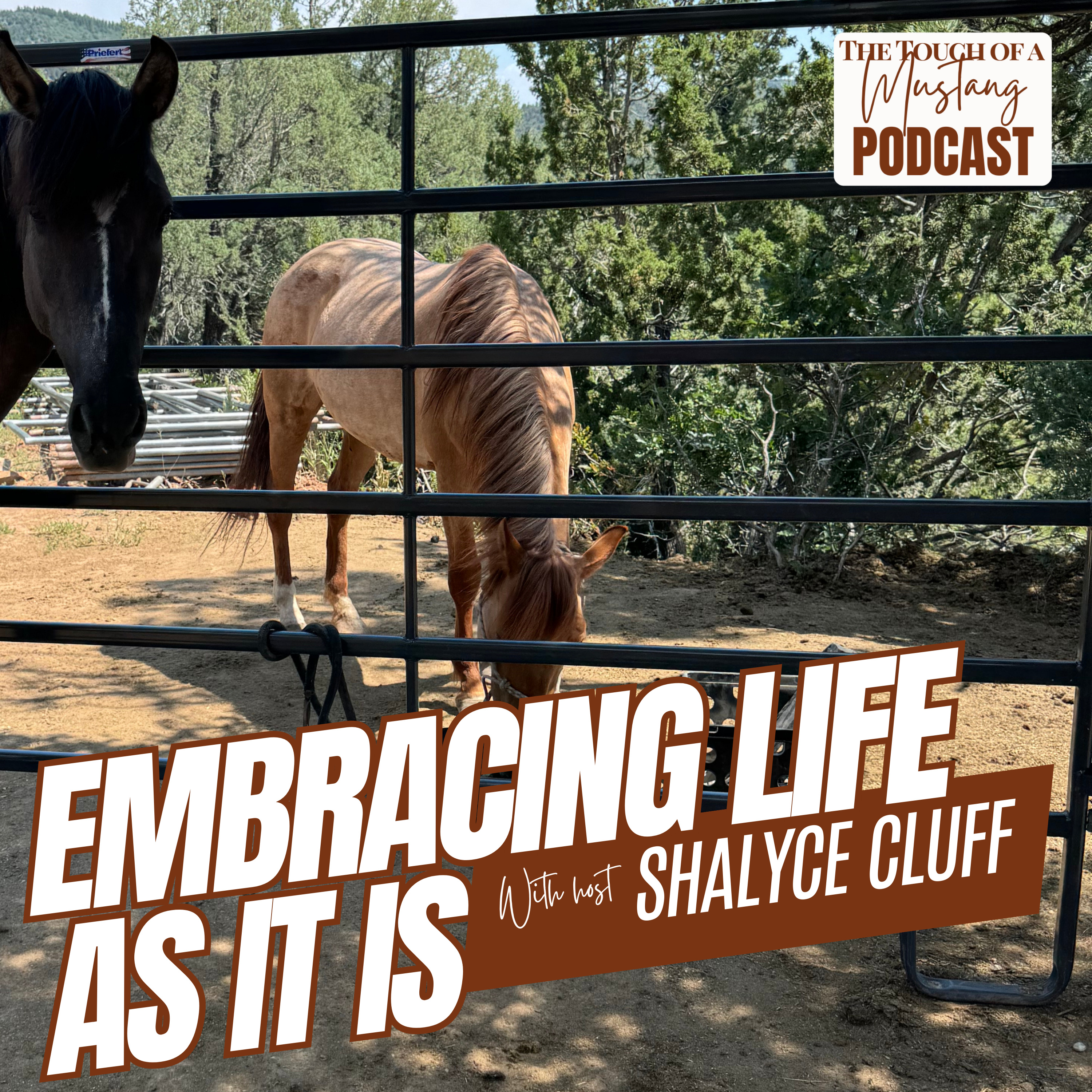 The Touch of a Mustang