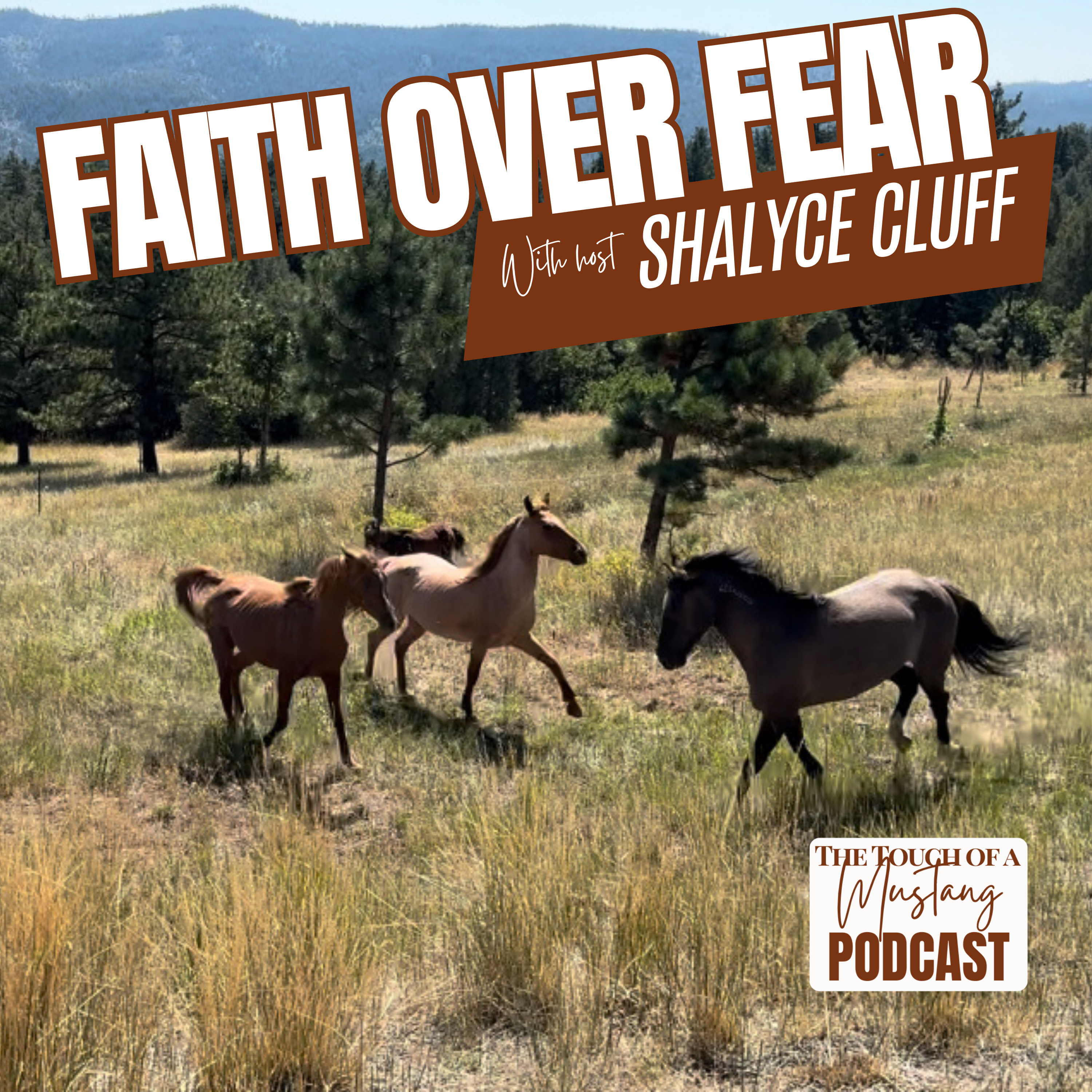 The Touch of a Mustang