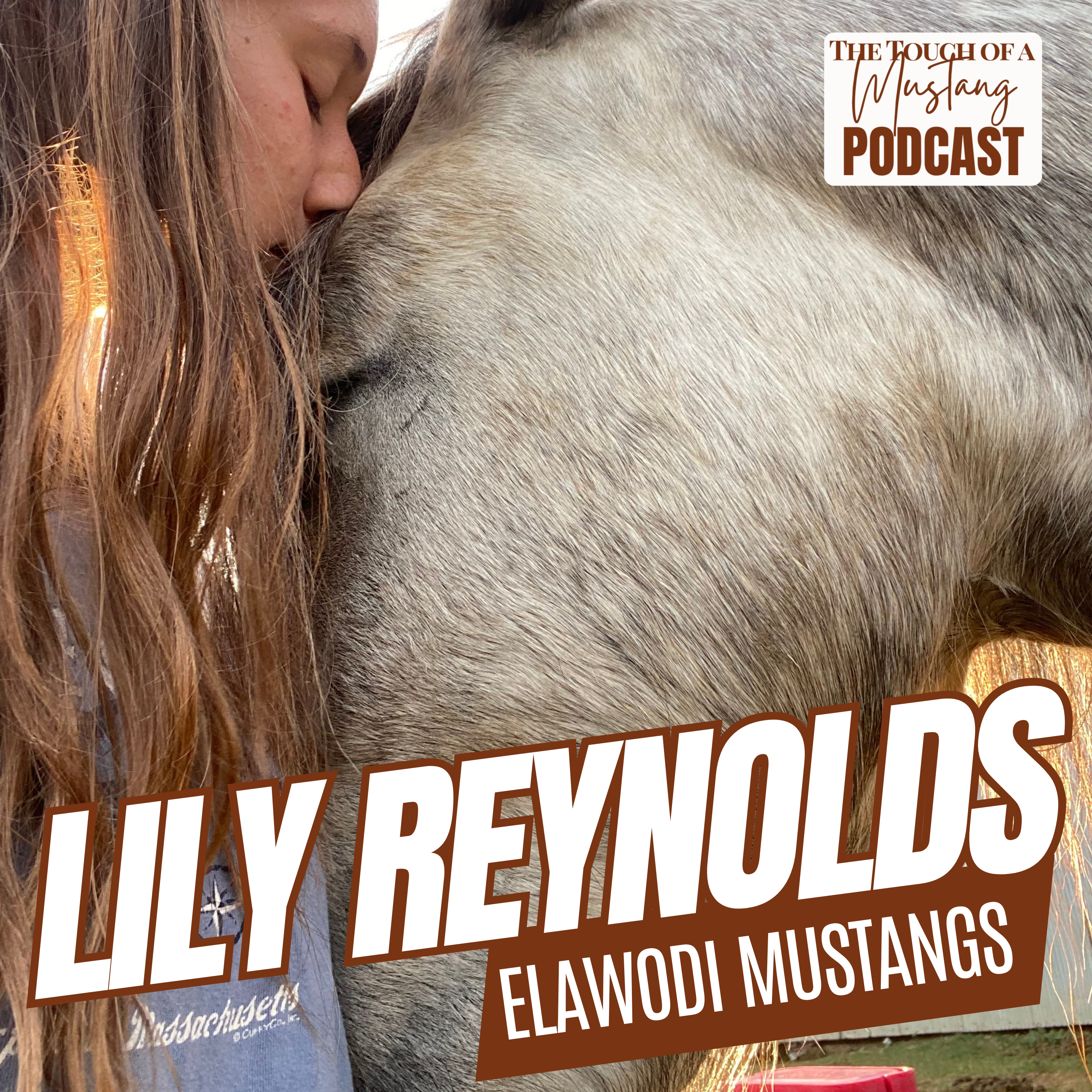 The Touch of a Mustang