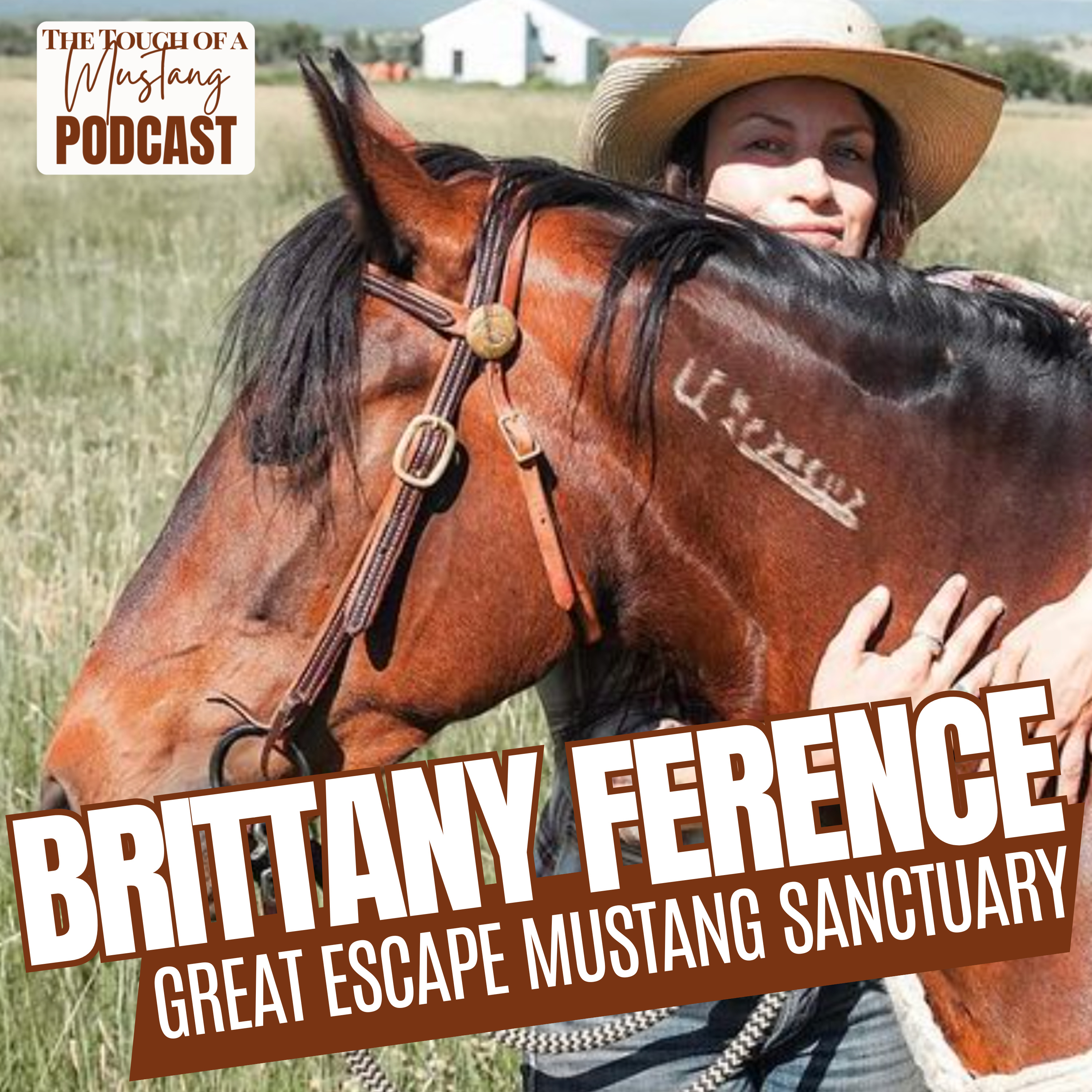 The Touch of a Mustang