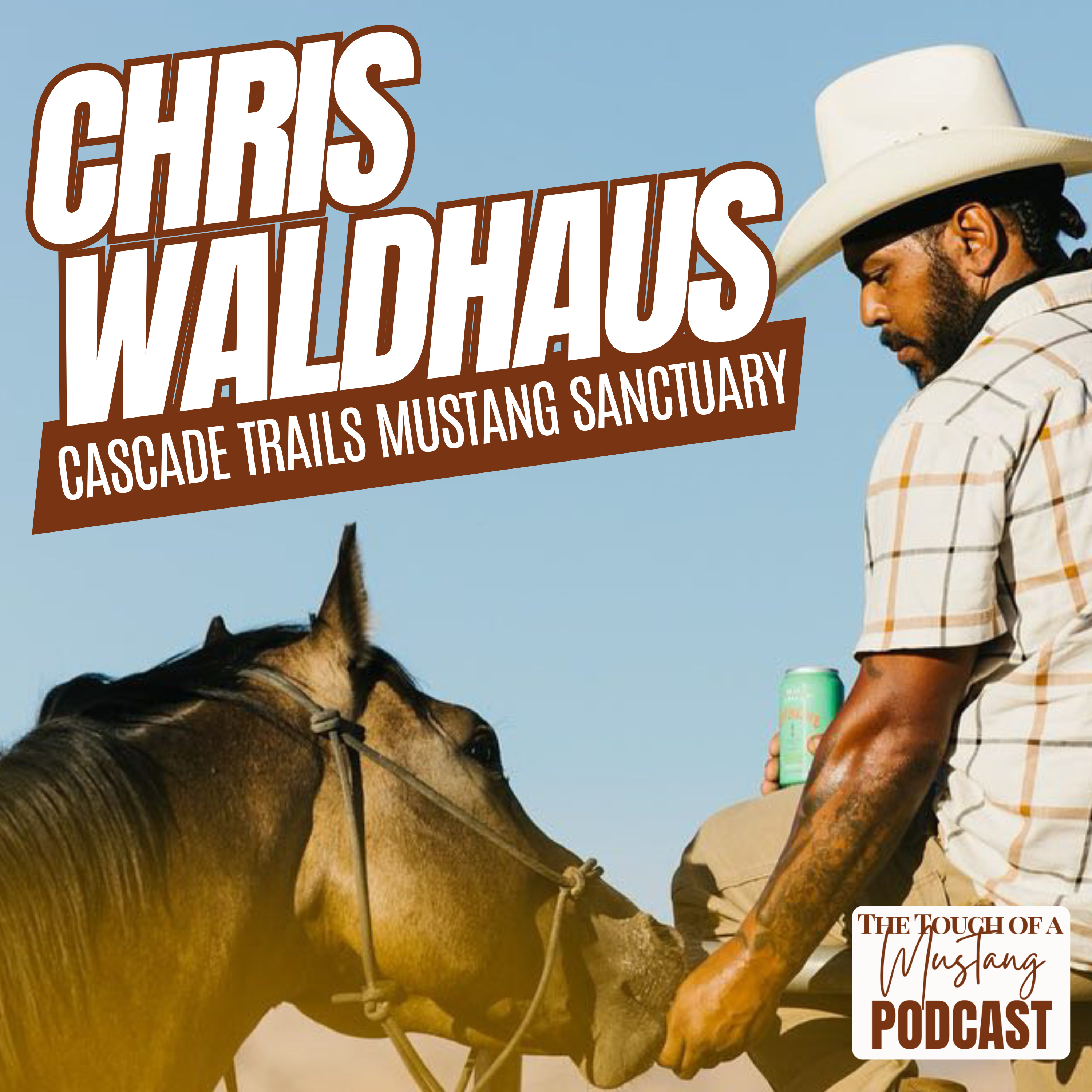 The Touch of a Mustang