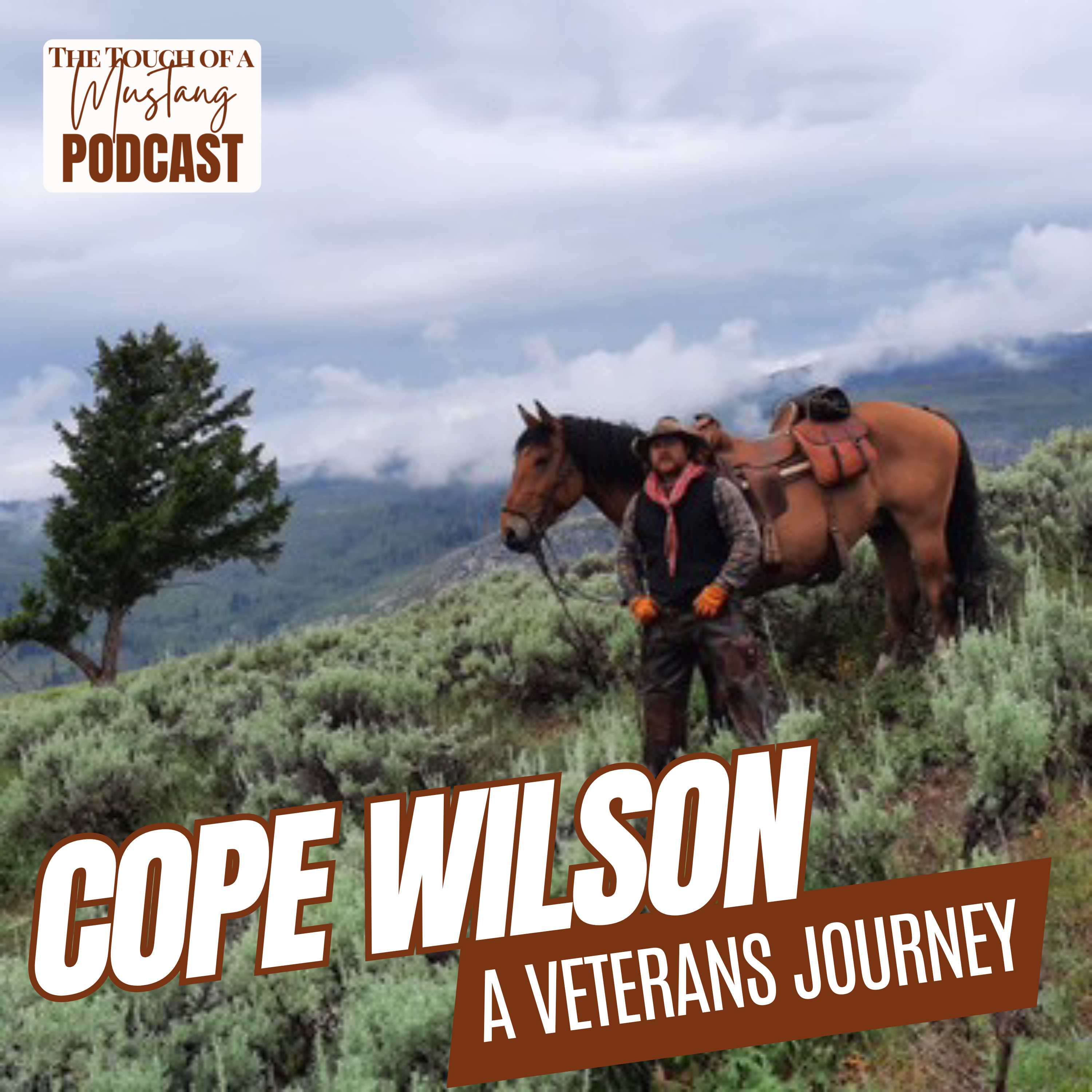 The Touch of a Mustang