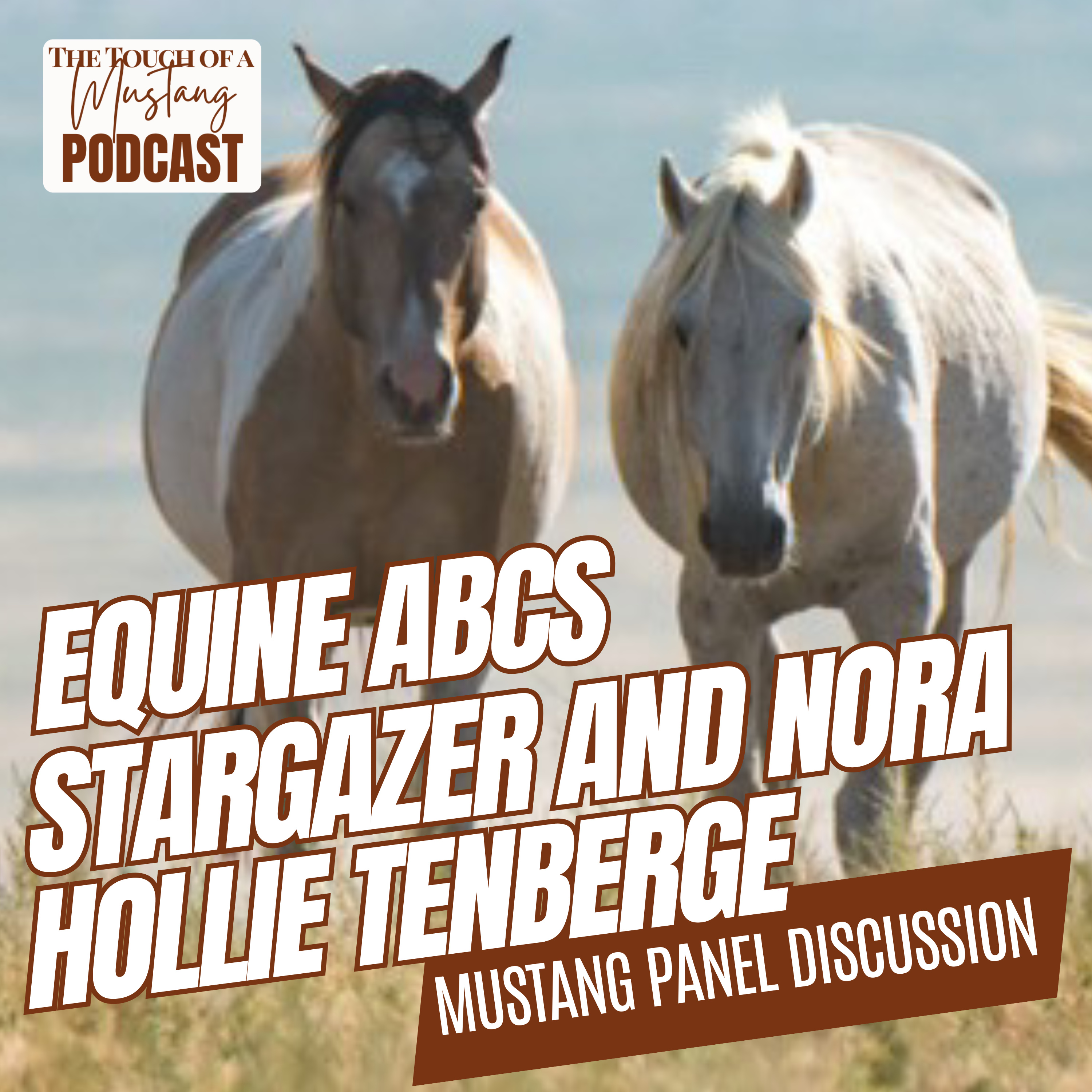 The Touch of a Mustang