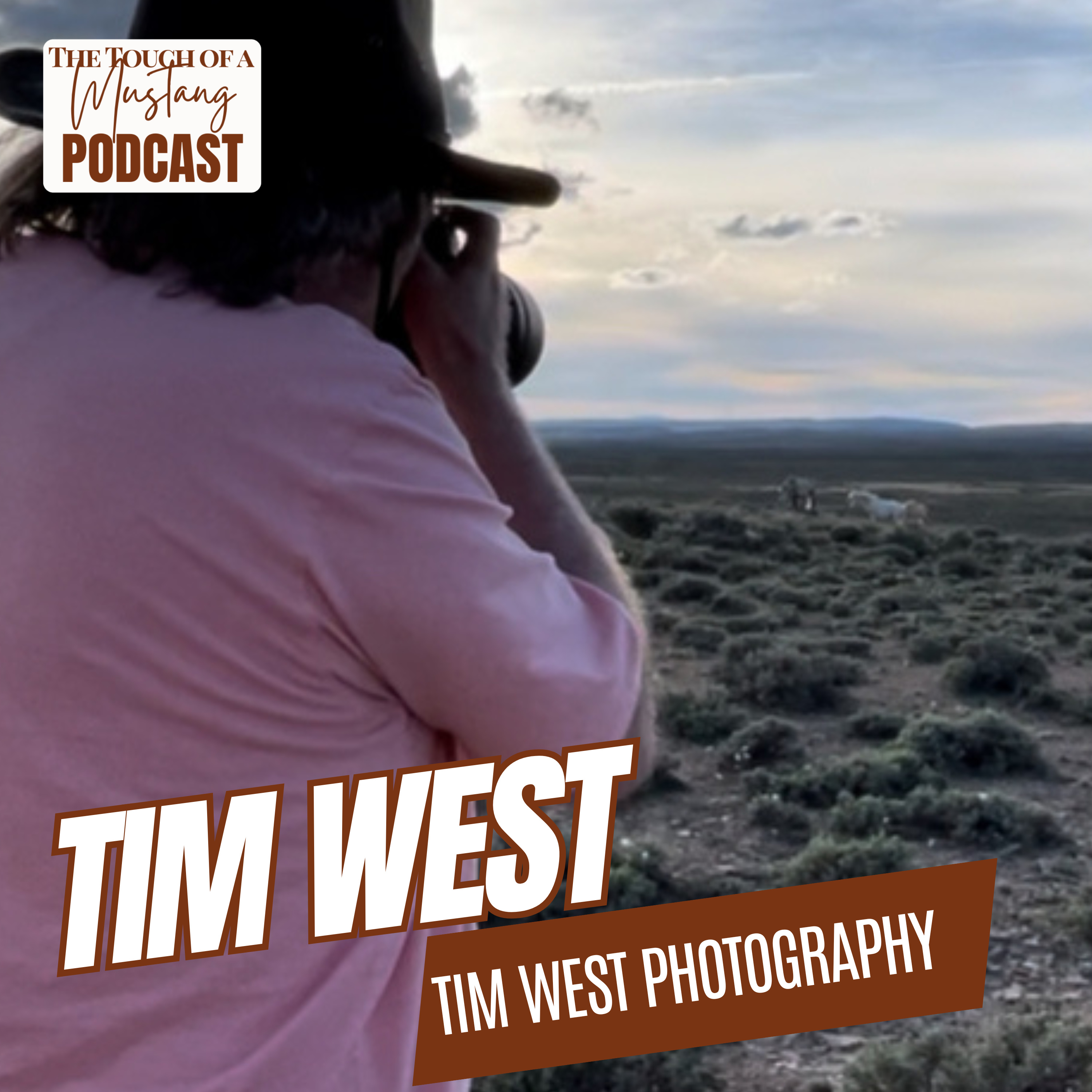 The Touch of a Mustang