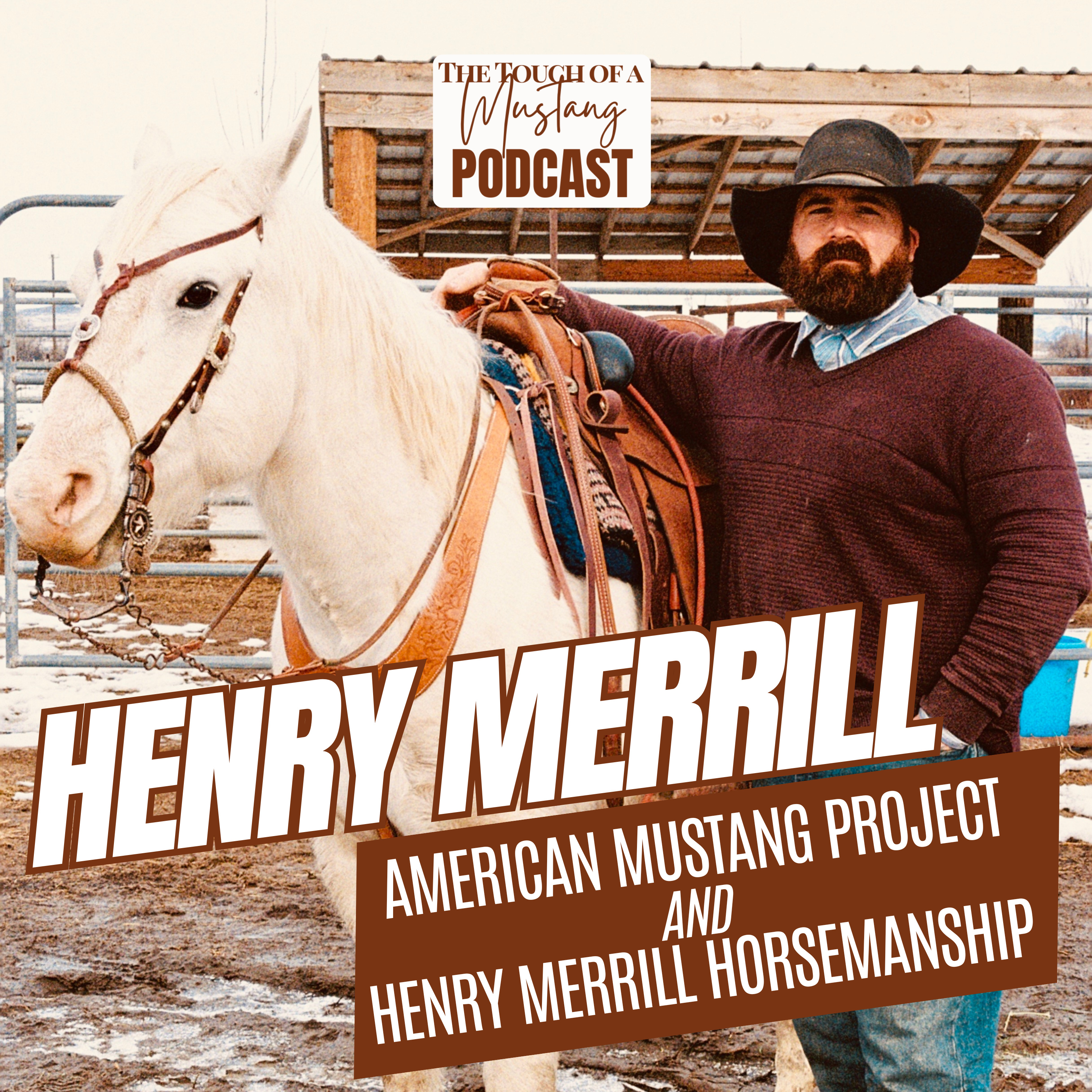 The Touch of a Mustang