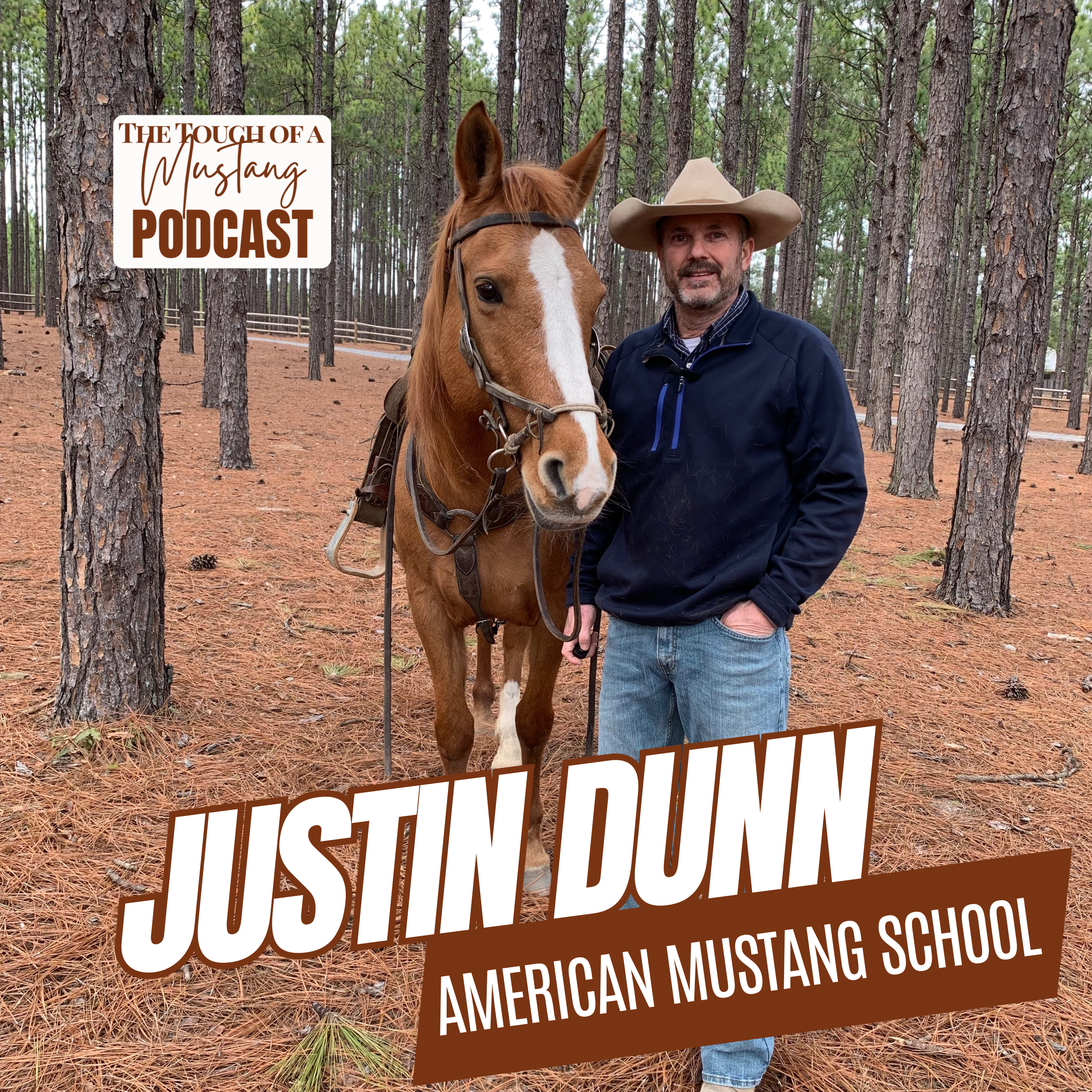 The Touch of a Mustang