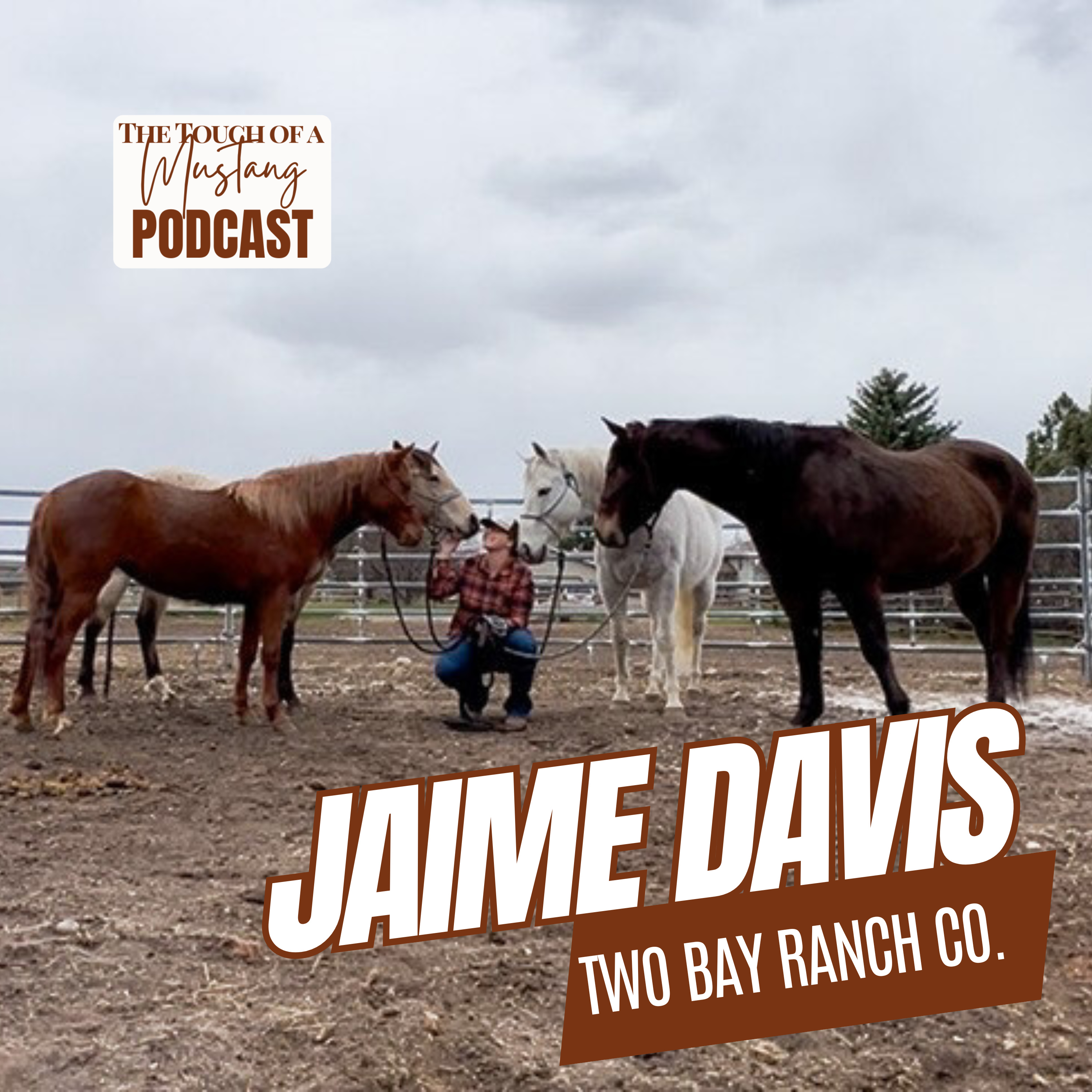 The Touch of a Mustang