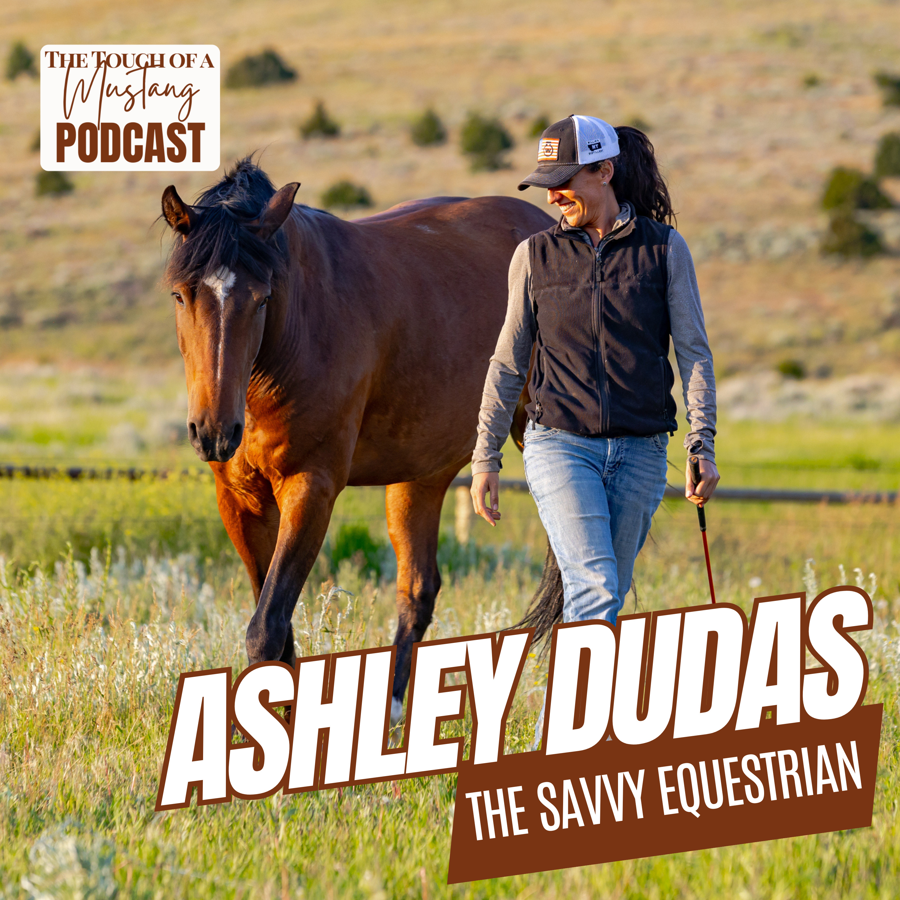 The Touch of a Mustang