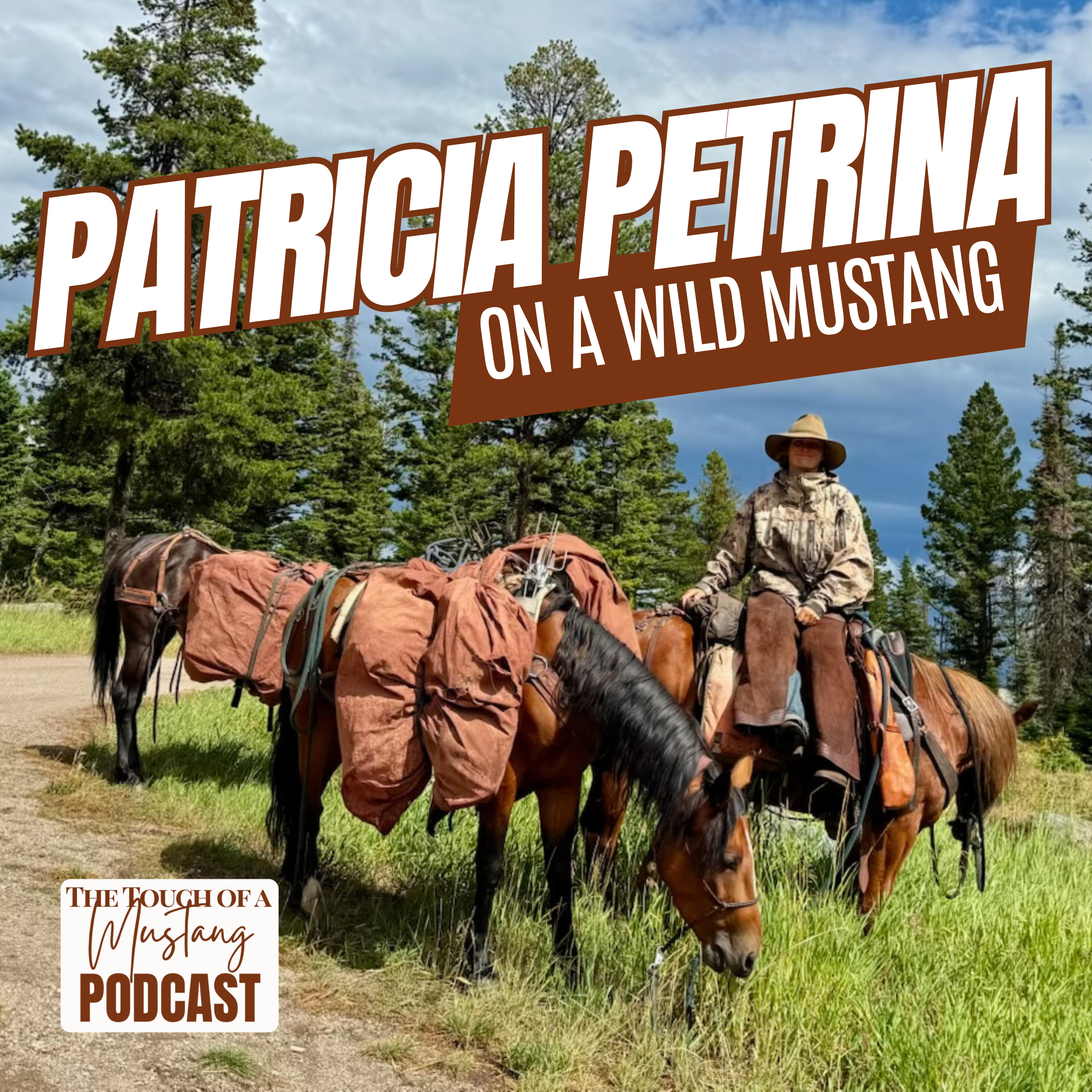 The Touch of a Mustang