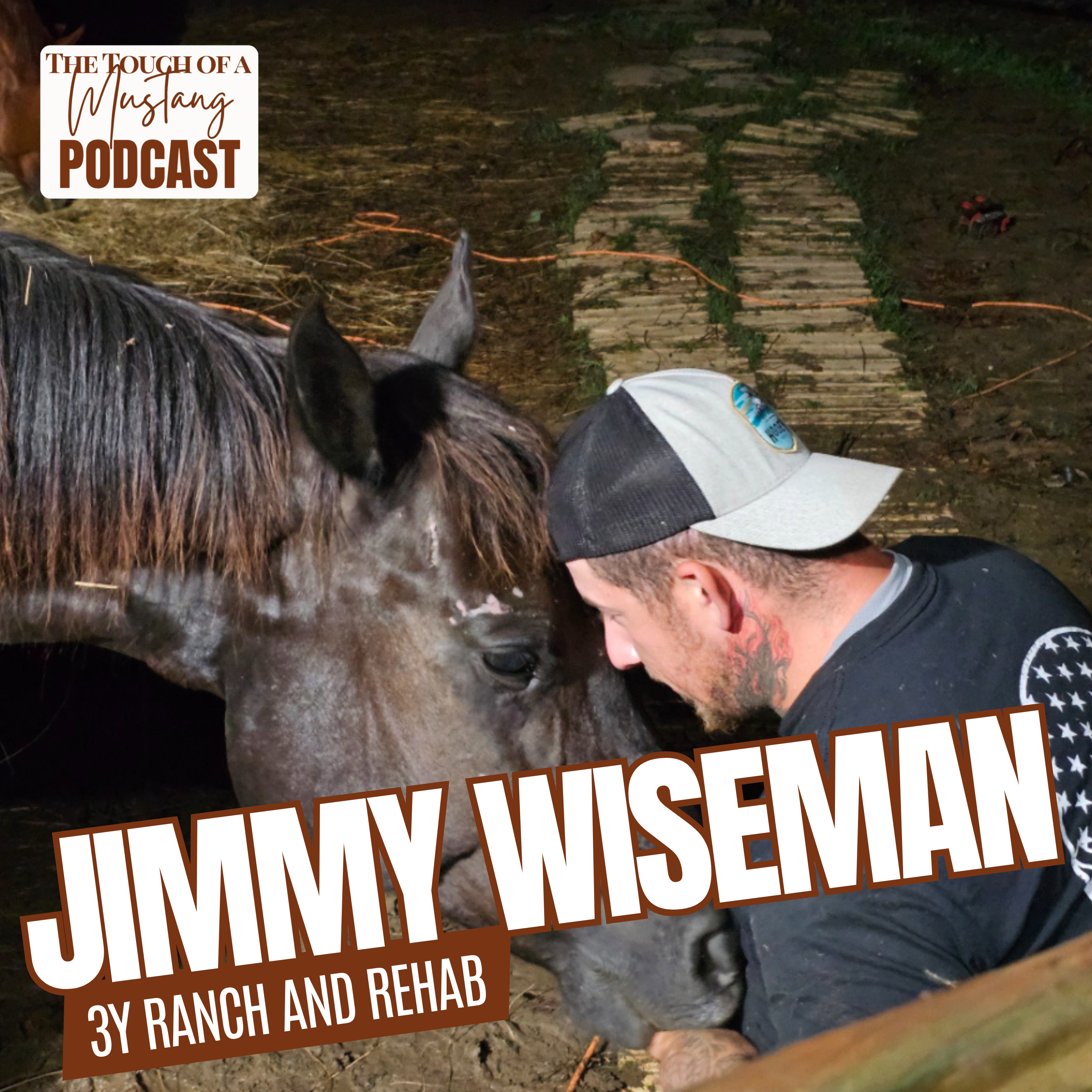 The Touch of a Mustang