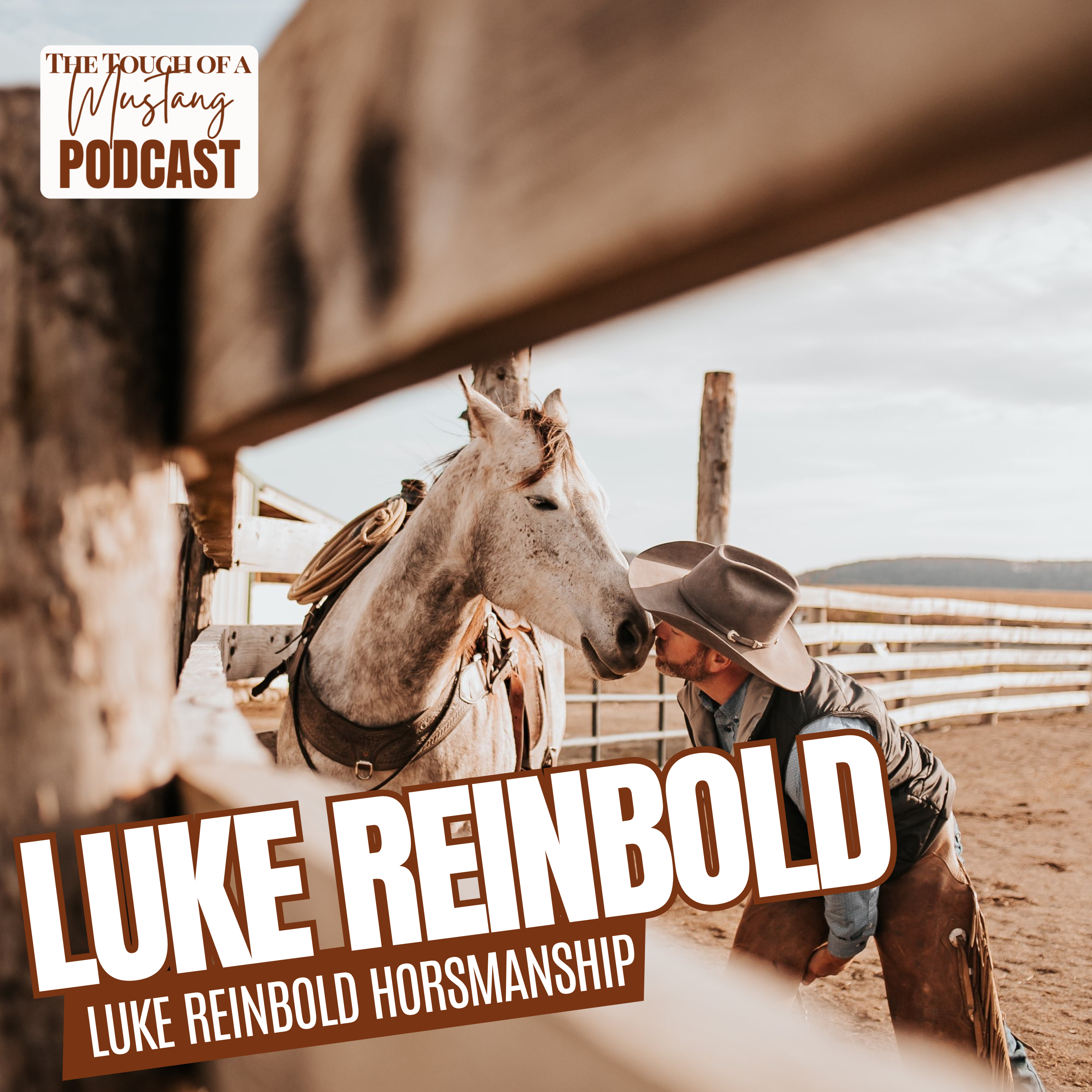 The Touch of a Mustang