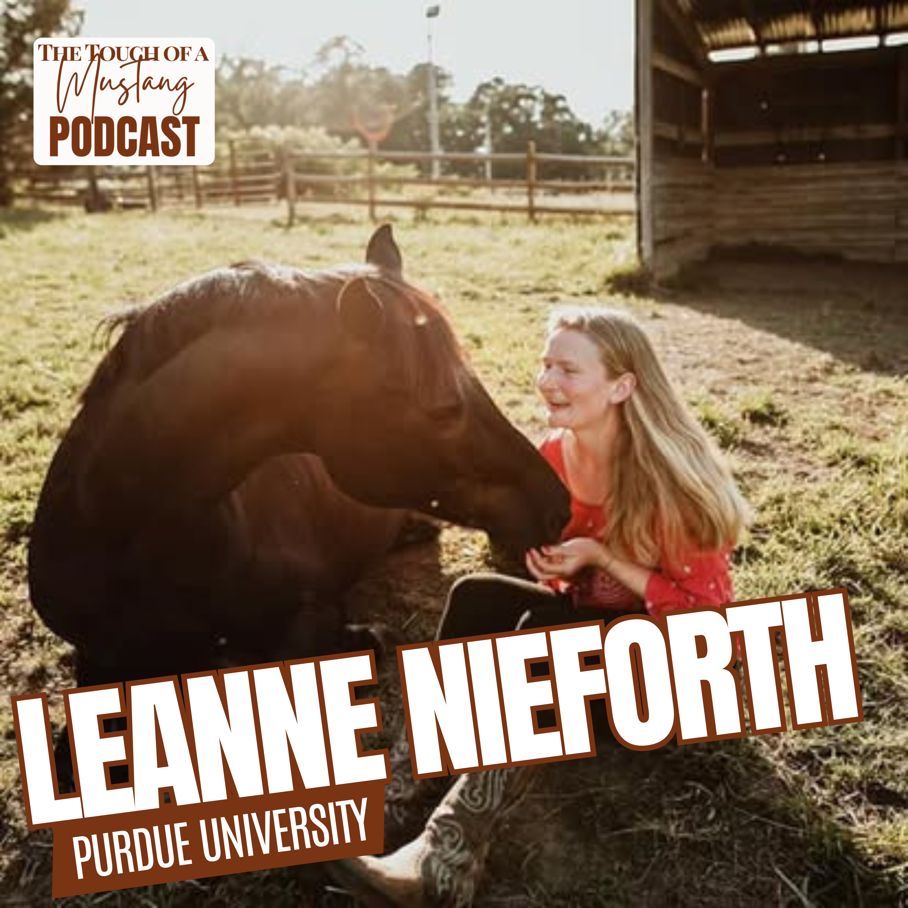 The Touch of a Mustang | Wild Horses, Healing, and Transformation