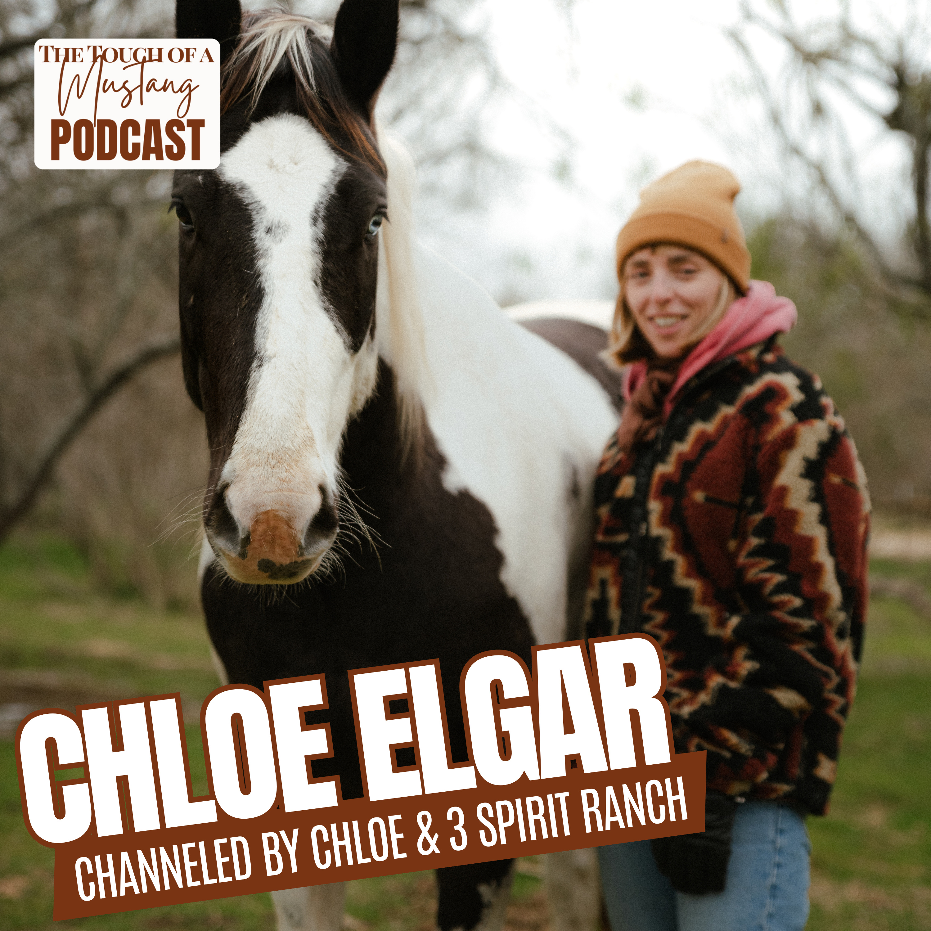 The Touch of a Mustang | Wild Horses, Healing, and Transformation