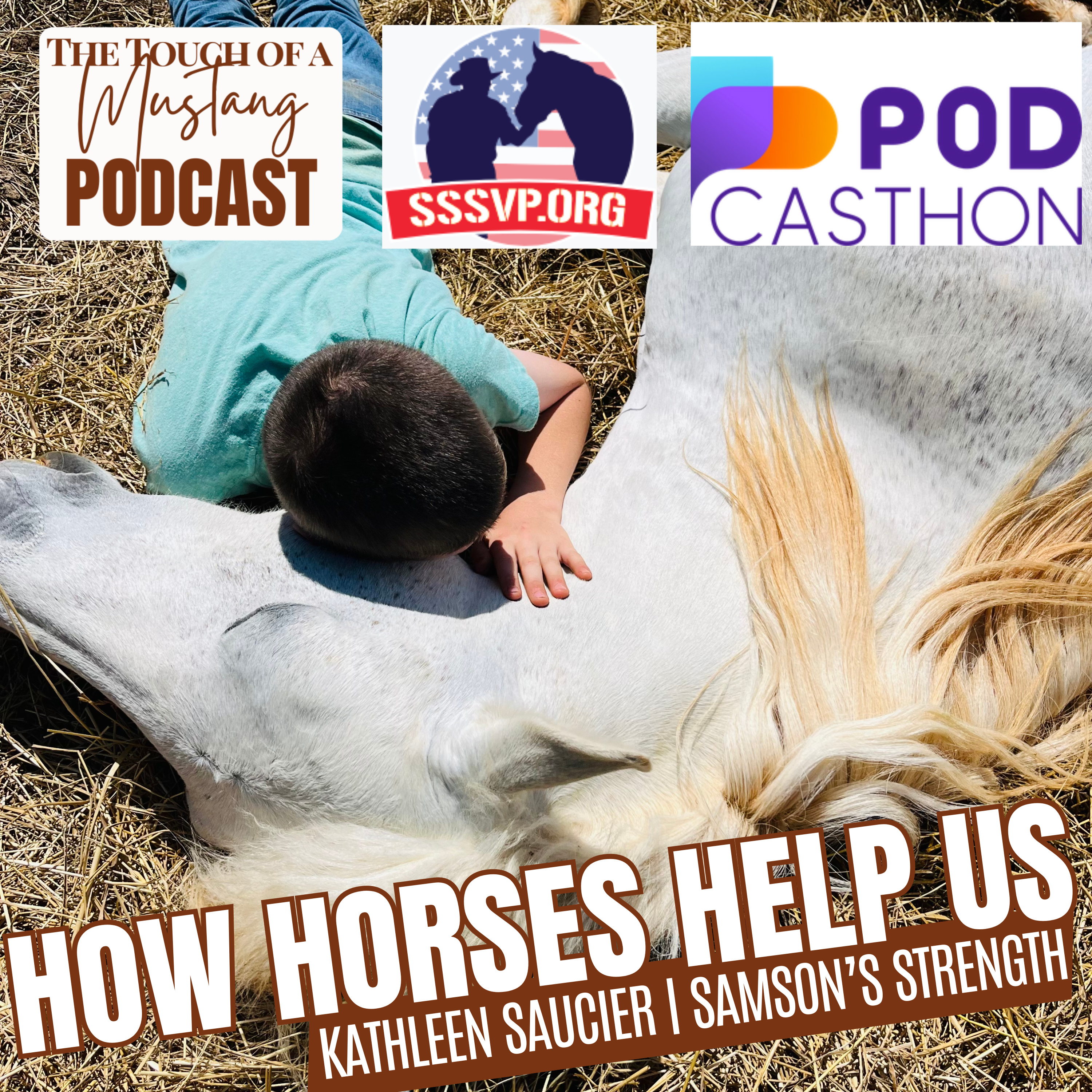 The Touch of a Mustang | Wild Horses, Healing, and Transformation