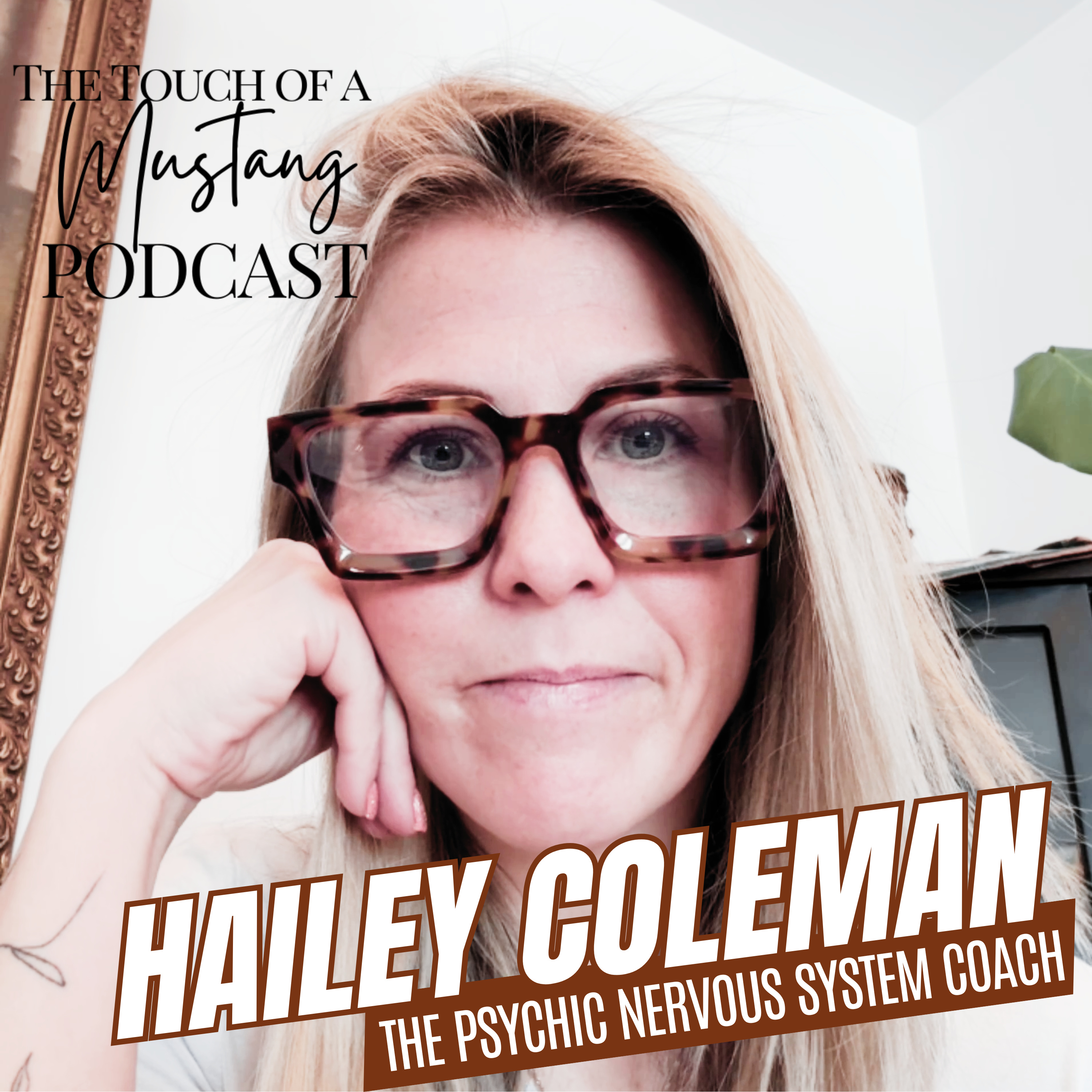 The Touch of a Mustang | Wild Horses, Healing, and Transformation