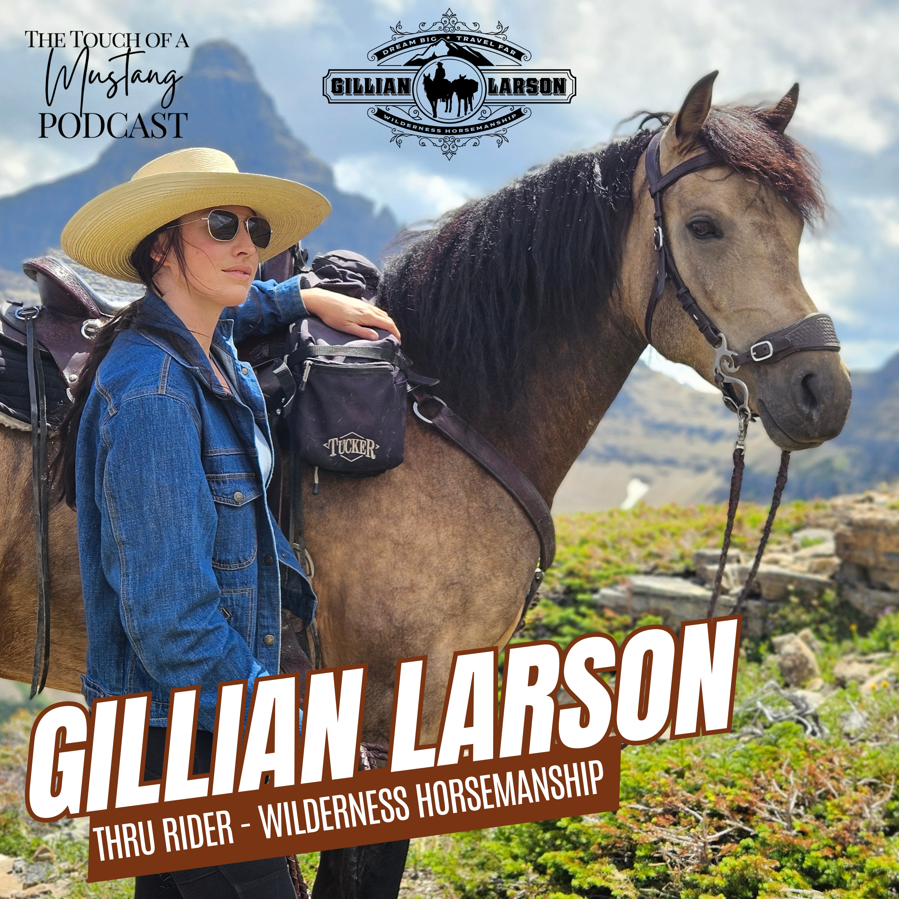 The Touch of a Mustang | Wild Horses, Healing, and Transformation