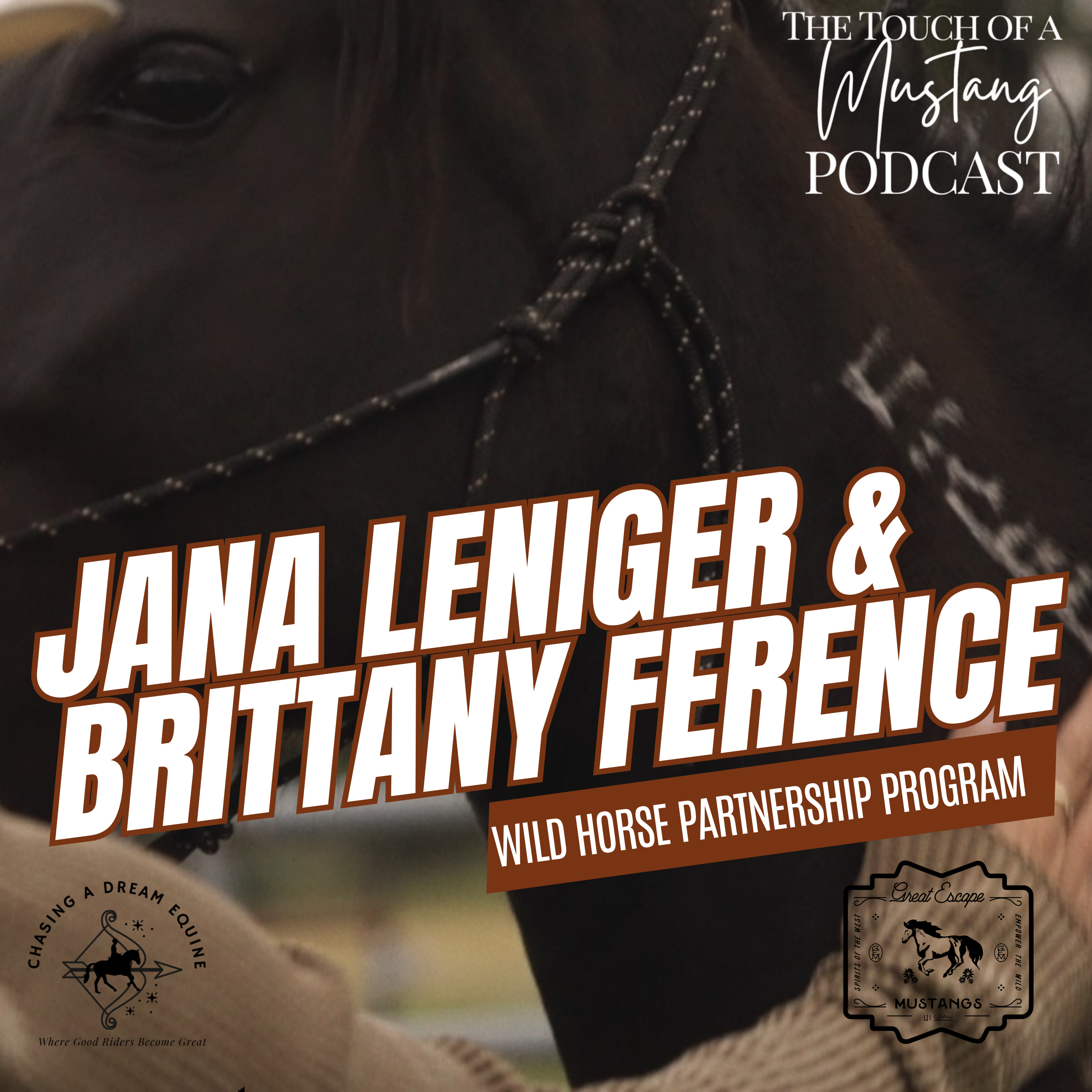The Touch of a Mustang | Wild Horses and Healing With Nature