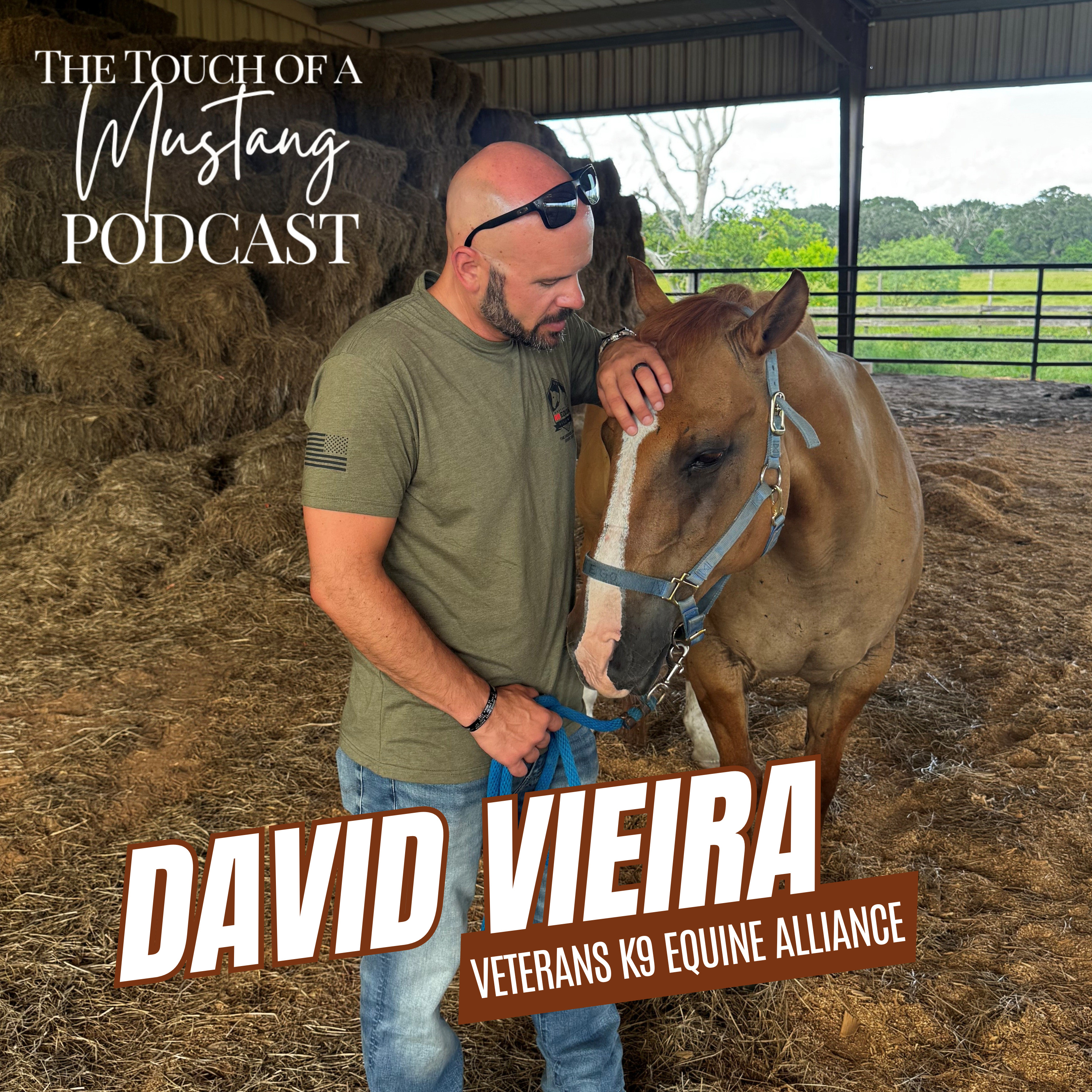 The Touch of a Mustang | Wild Horses and Healing With Nature