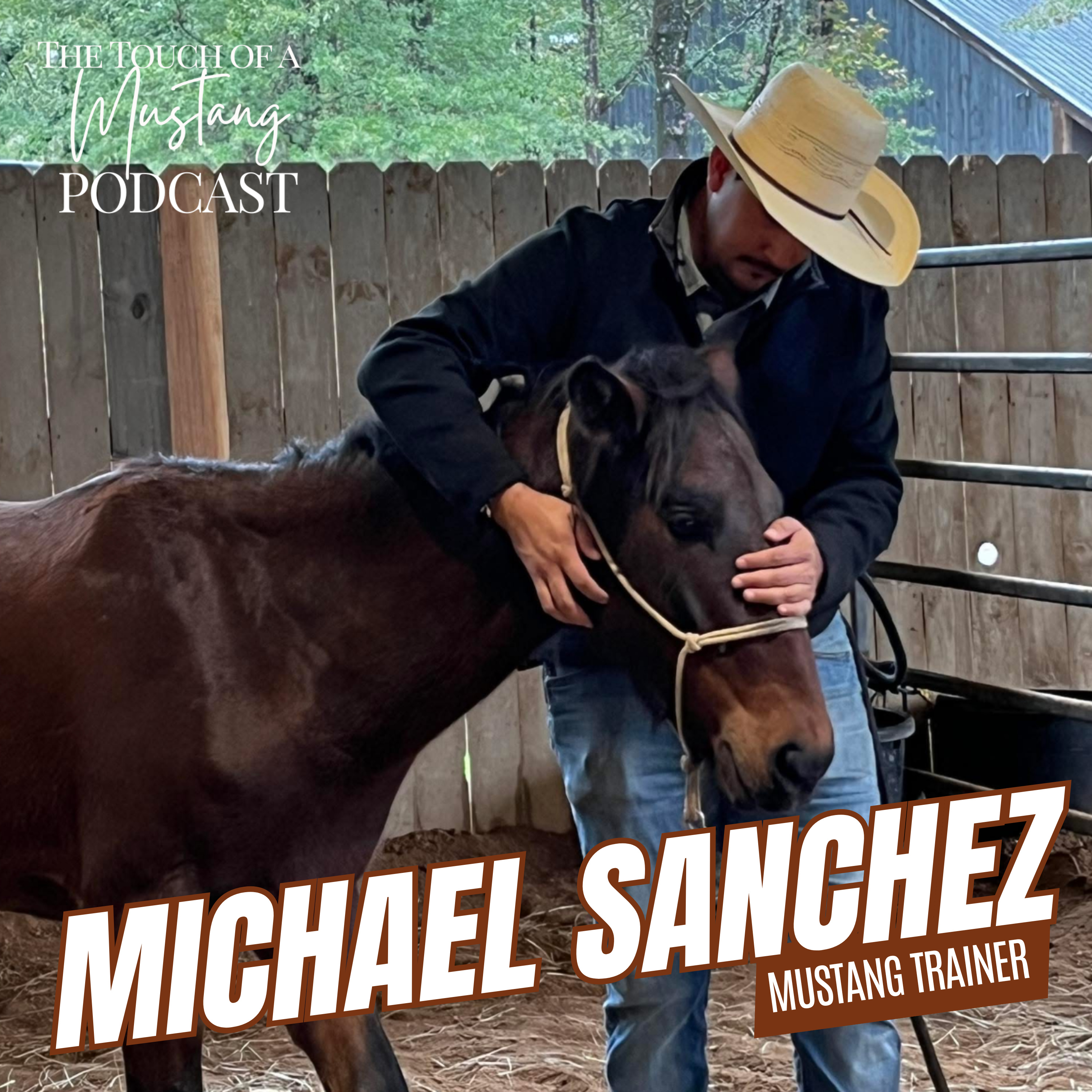 The Touch of a Mustang | Wild Horses and Healing With Nature