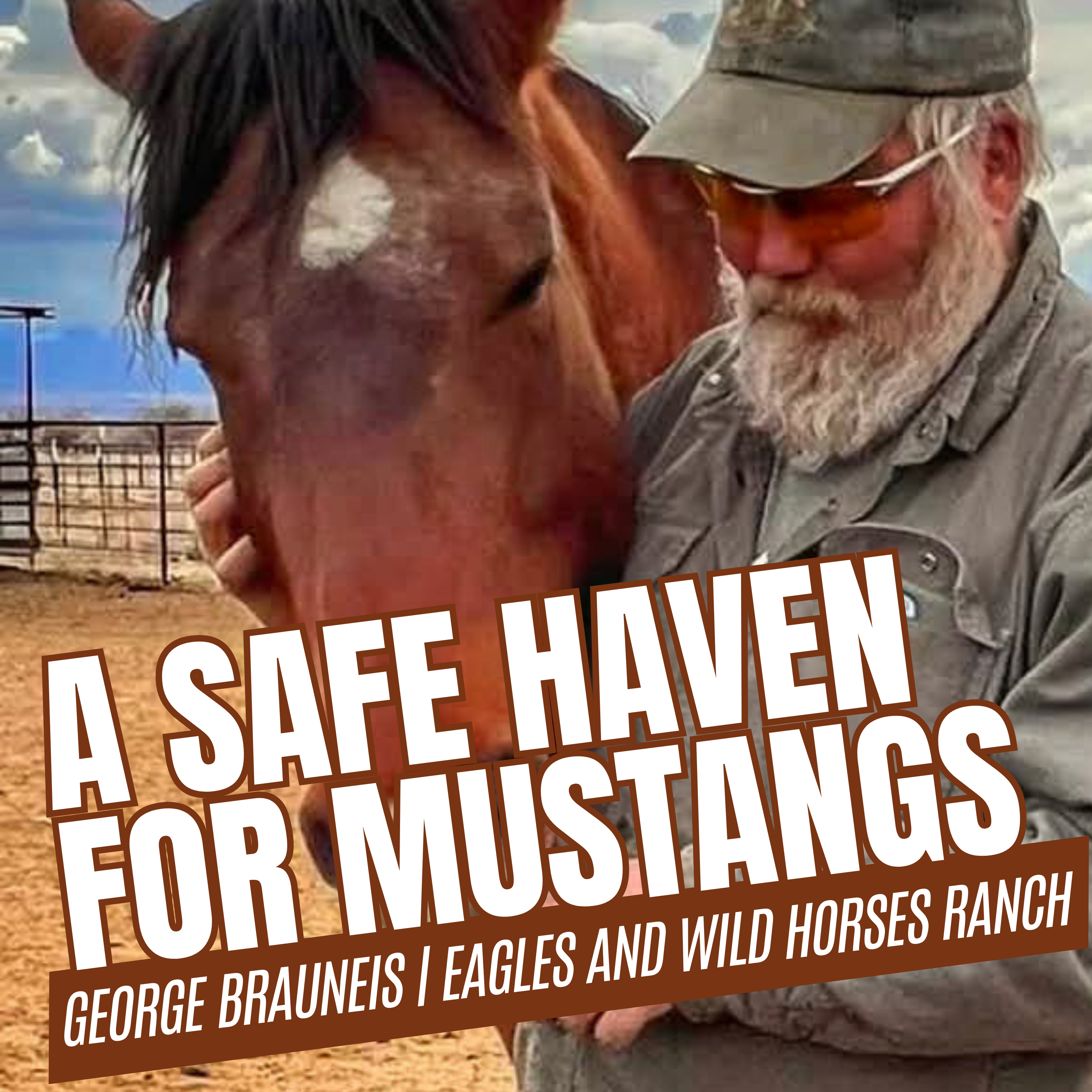 Protecting Wild Horses from Wild Horse Annie to Now with George Brauneis | Episode 80 episode artwork