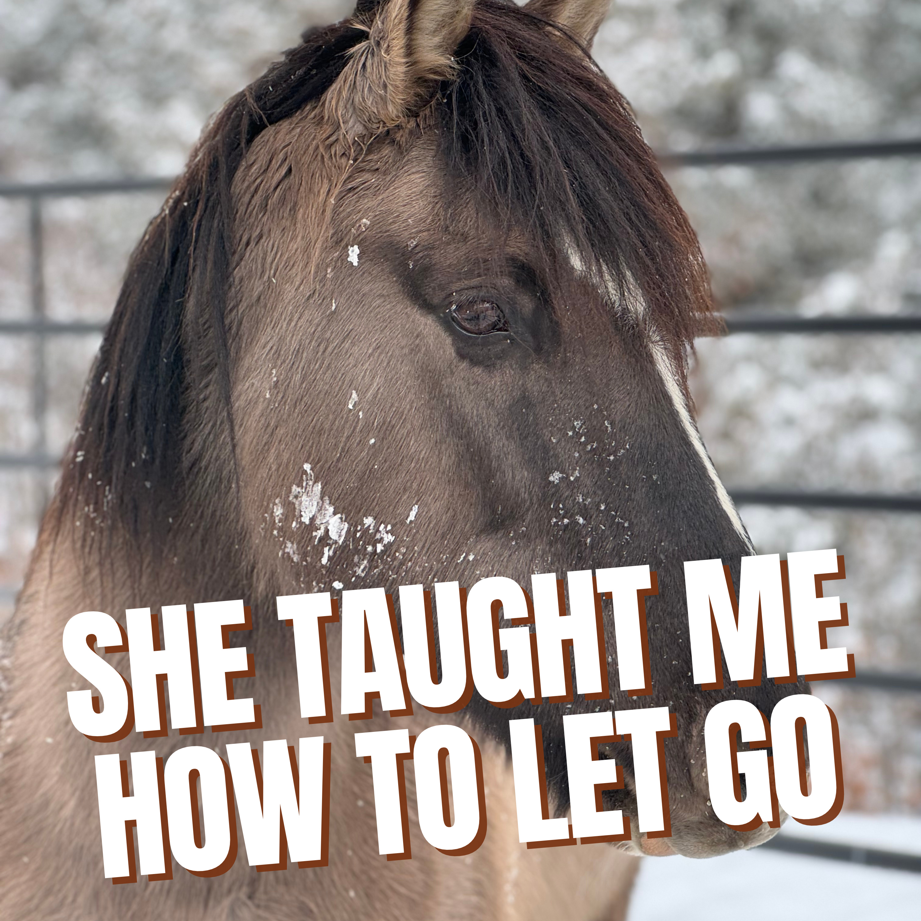 The Touch of a Mustang